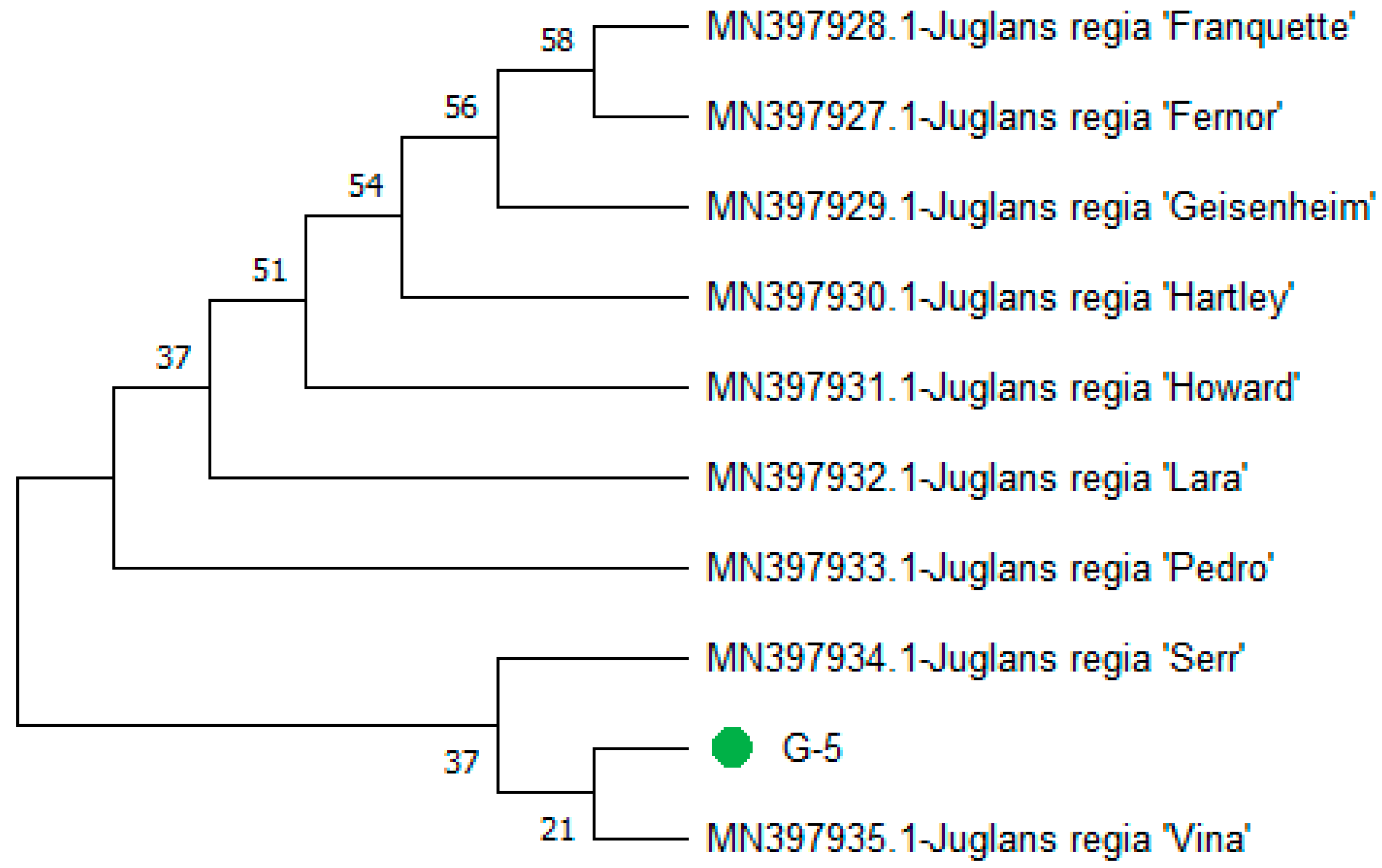 Genes 15 01417 g012 Genes 15 01417 g012