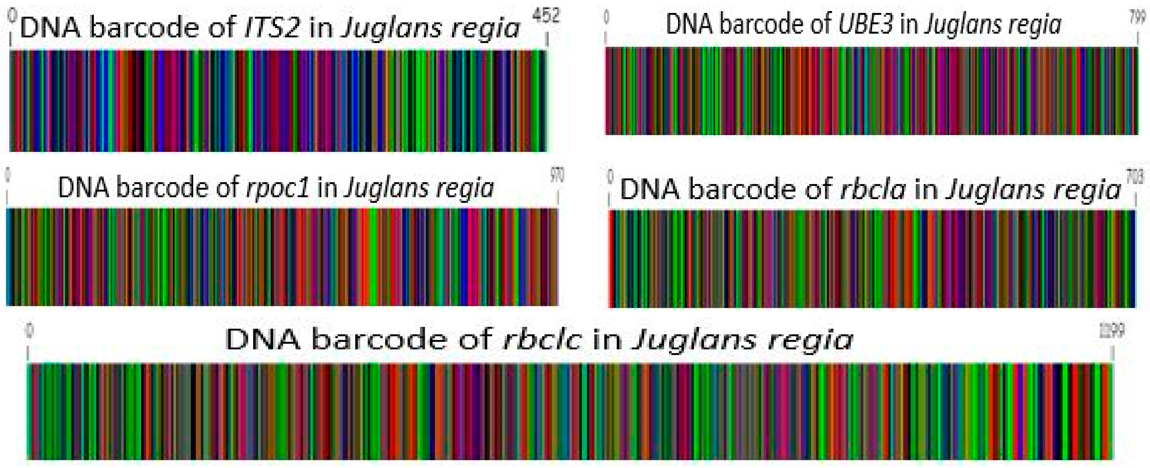 Genes 15 01417 g013 Genes 15 01417 g013