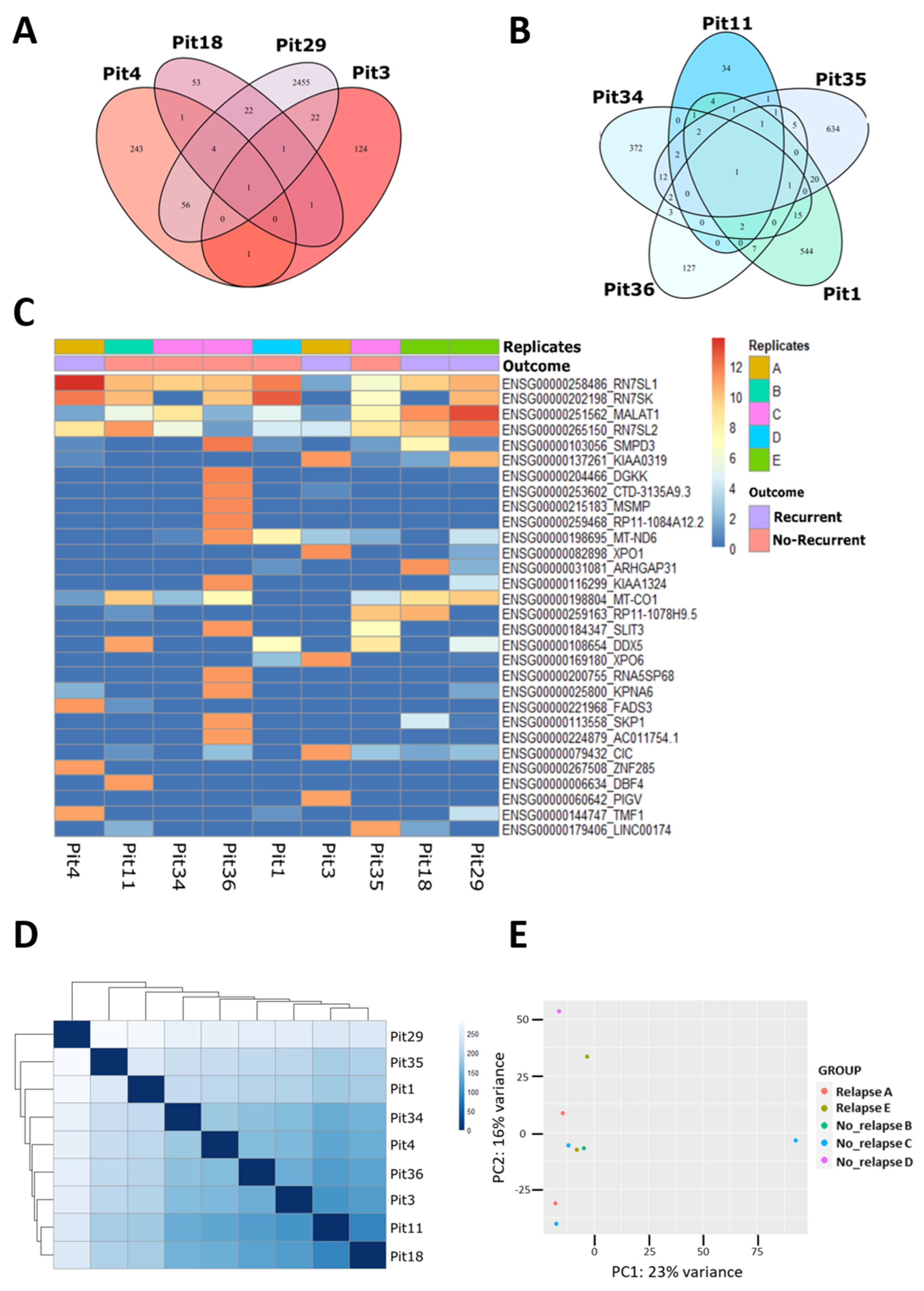 Genes 15 01426 g001 Genes 15 01426 g001