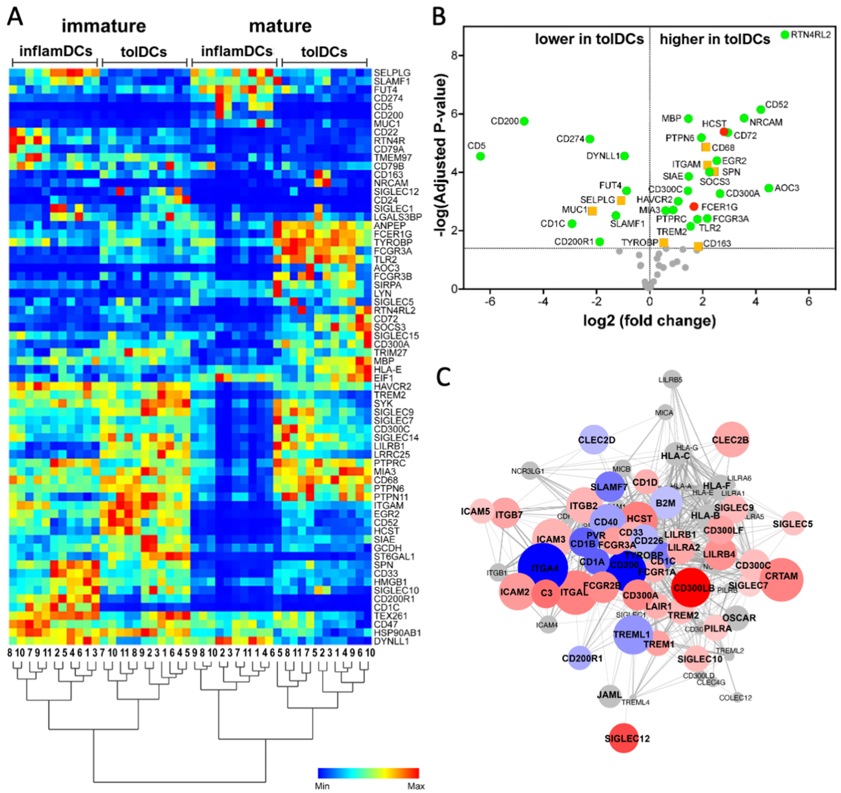 Genes 15 01427 g003