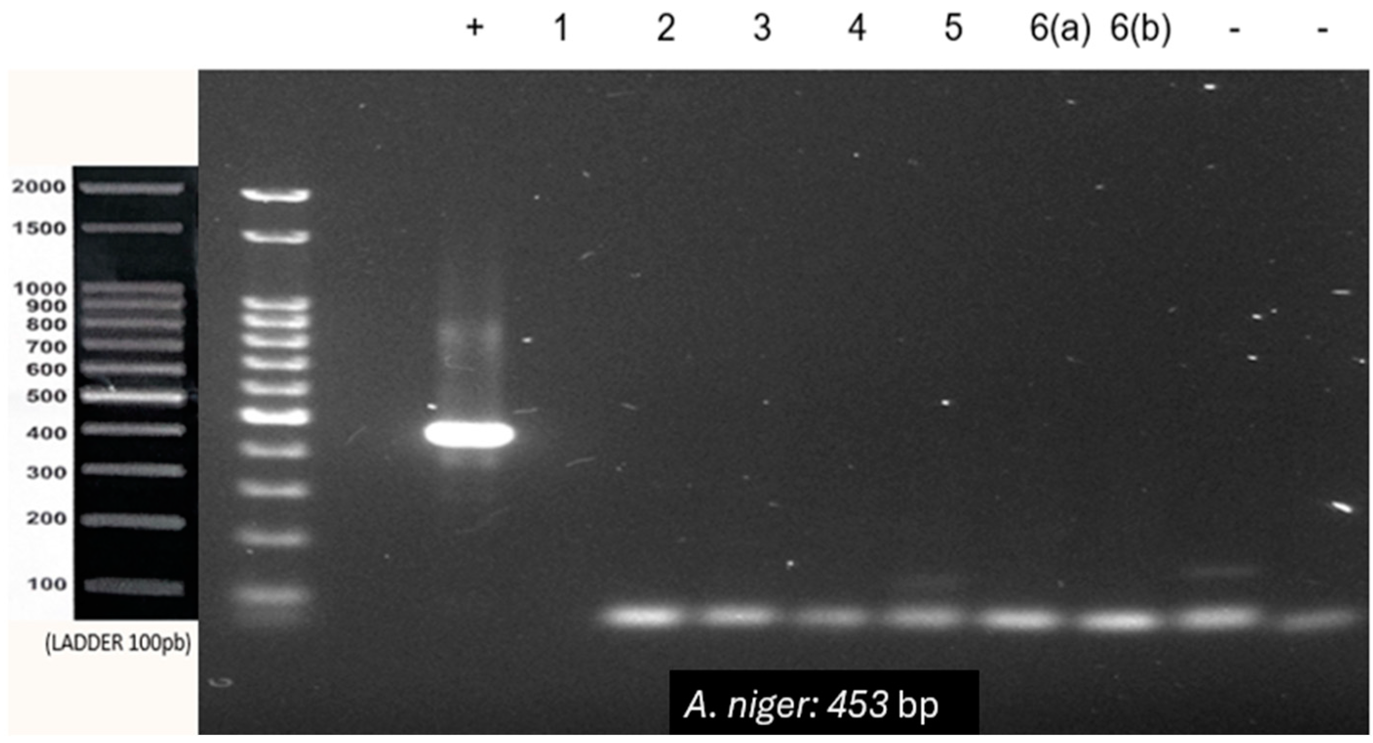 Genes 15 01428 g004