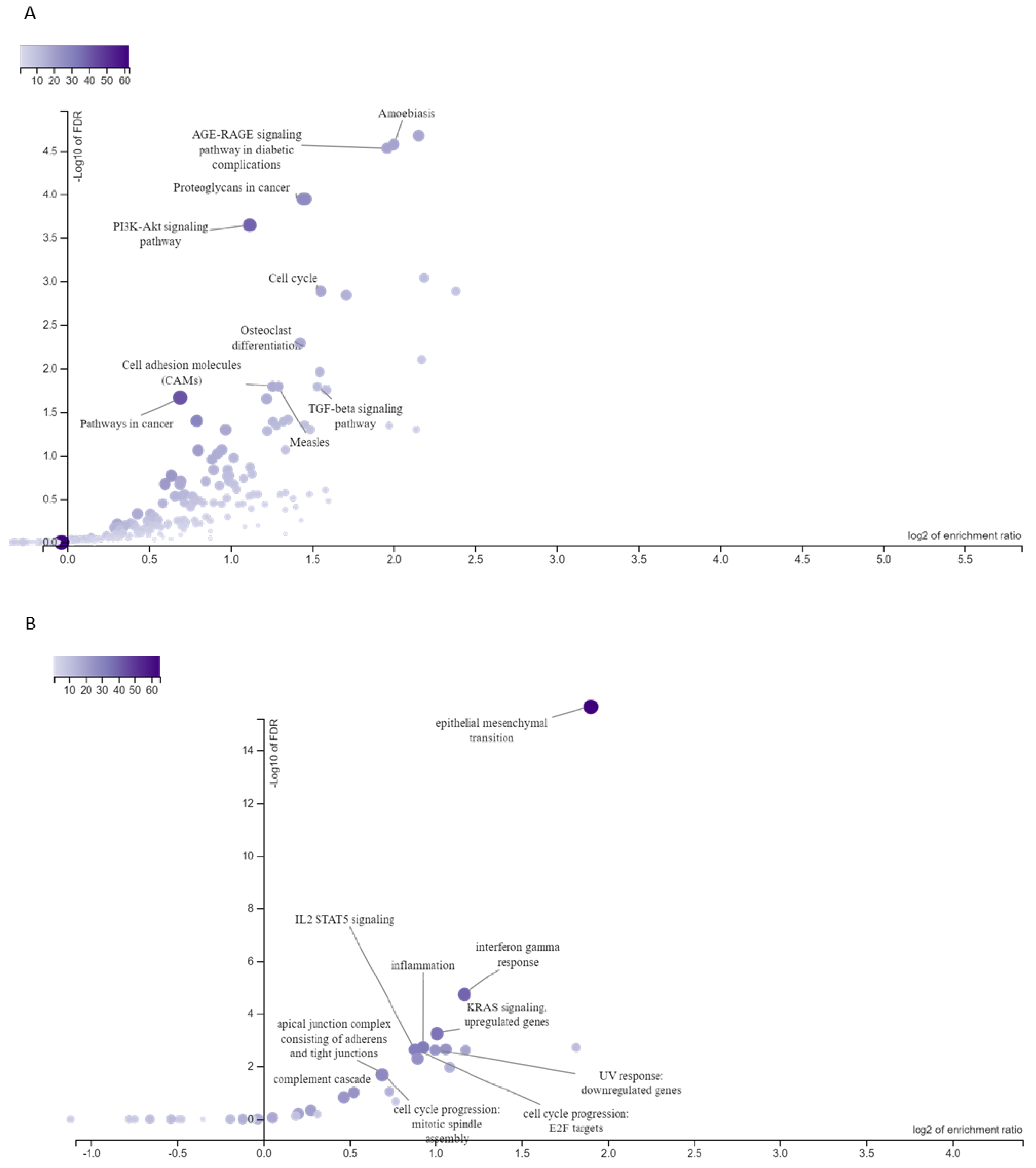 Genes 15 01430 g002 Genes 15 01430 g002