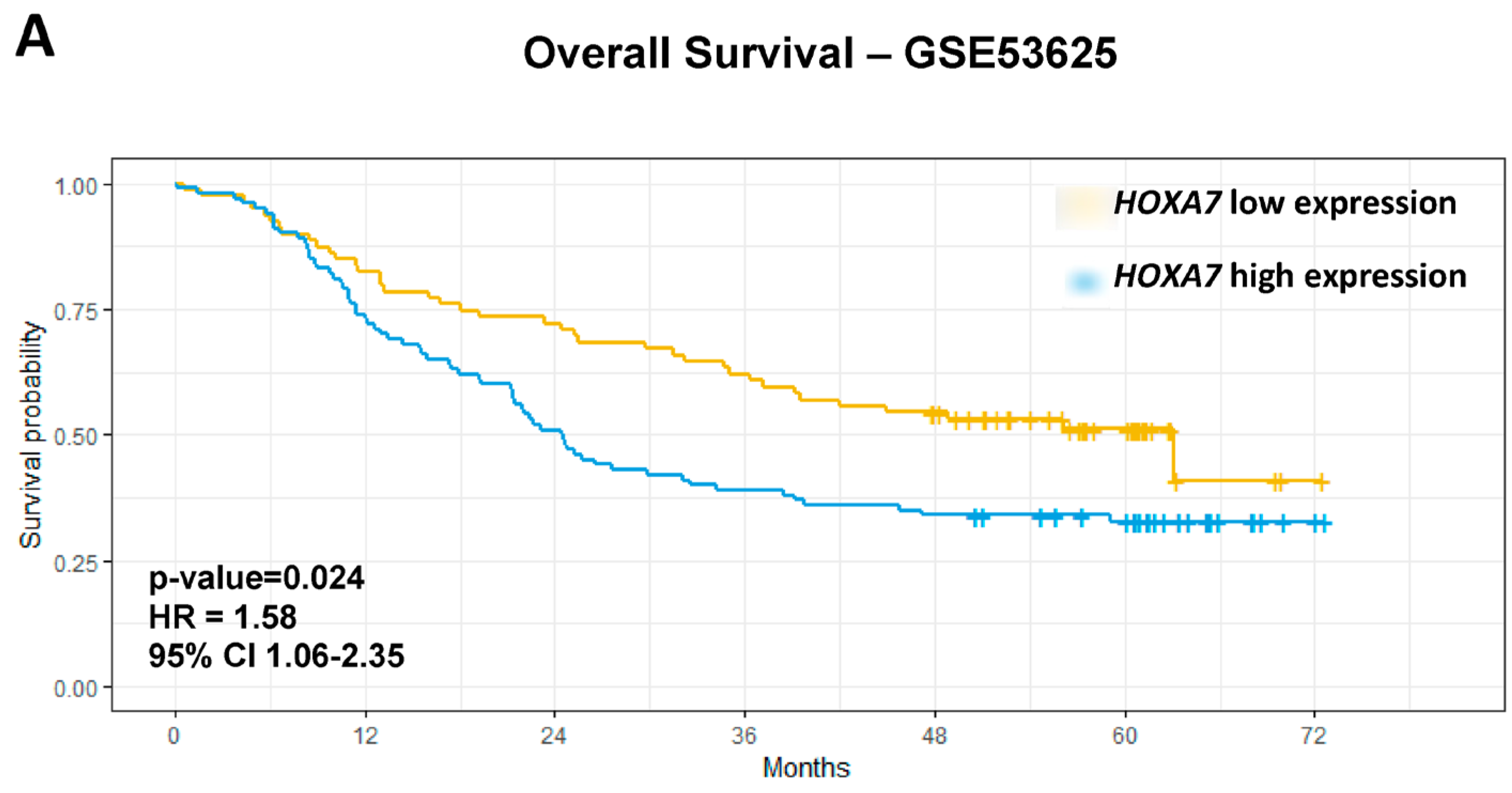 Genes 15 01430 g003a Genes 15 01430 g003a