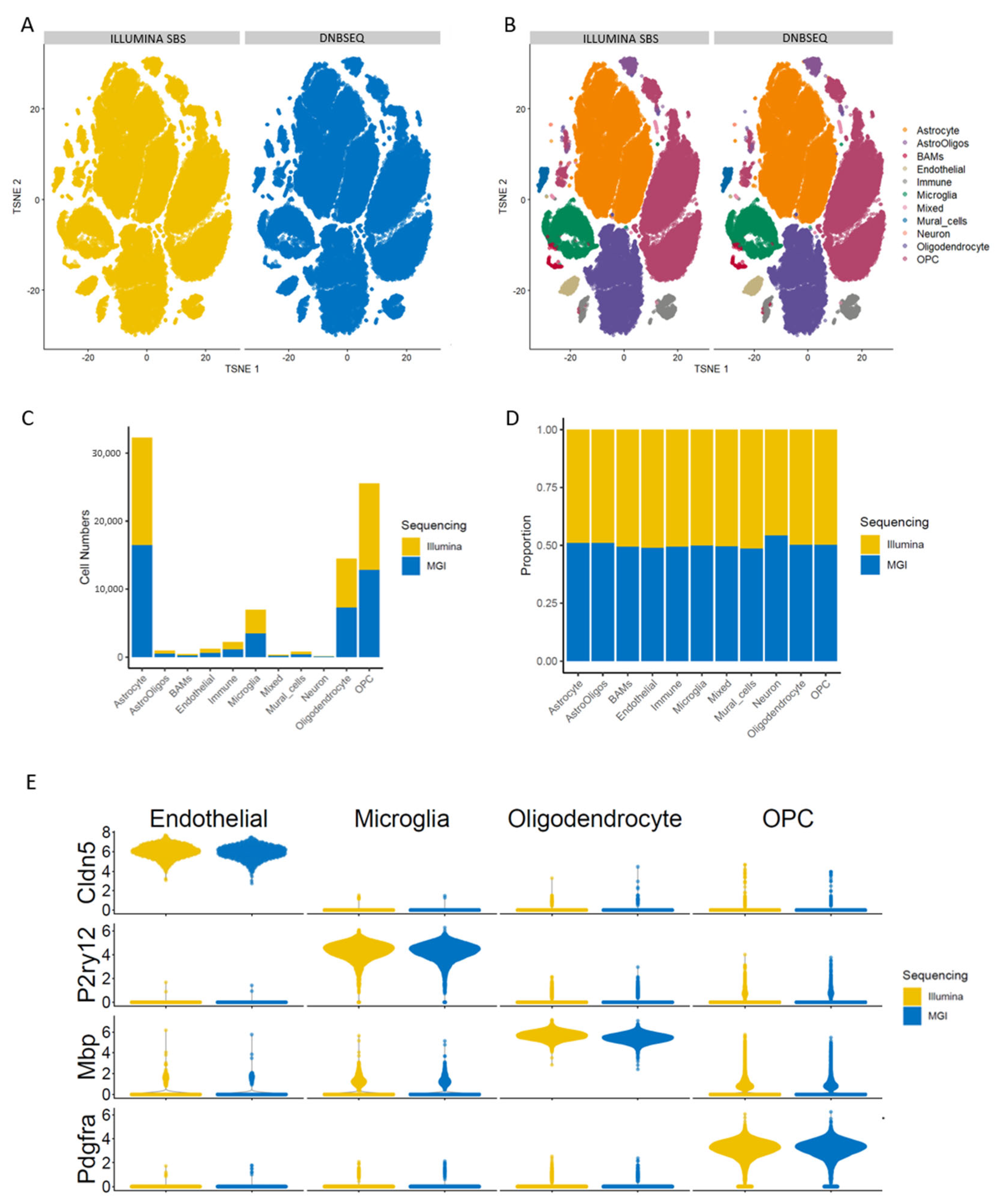 Genes 15 01436 g003