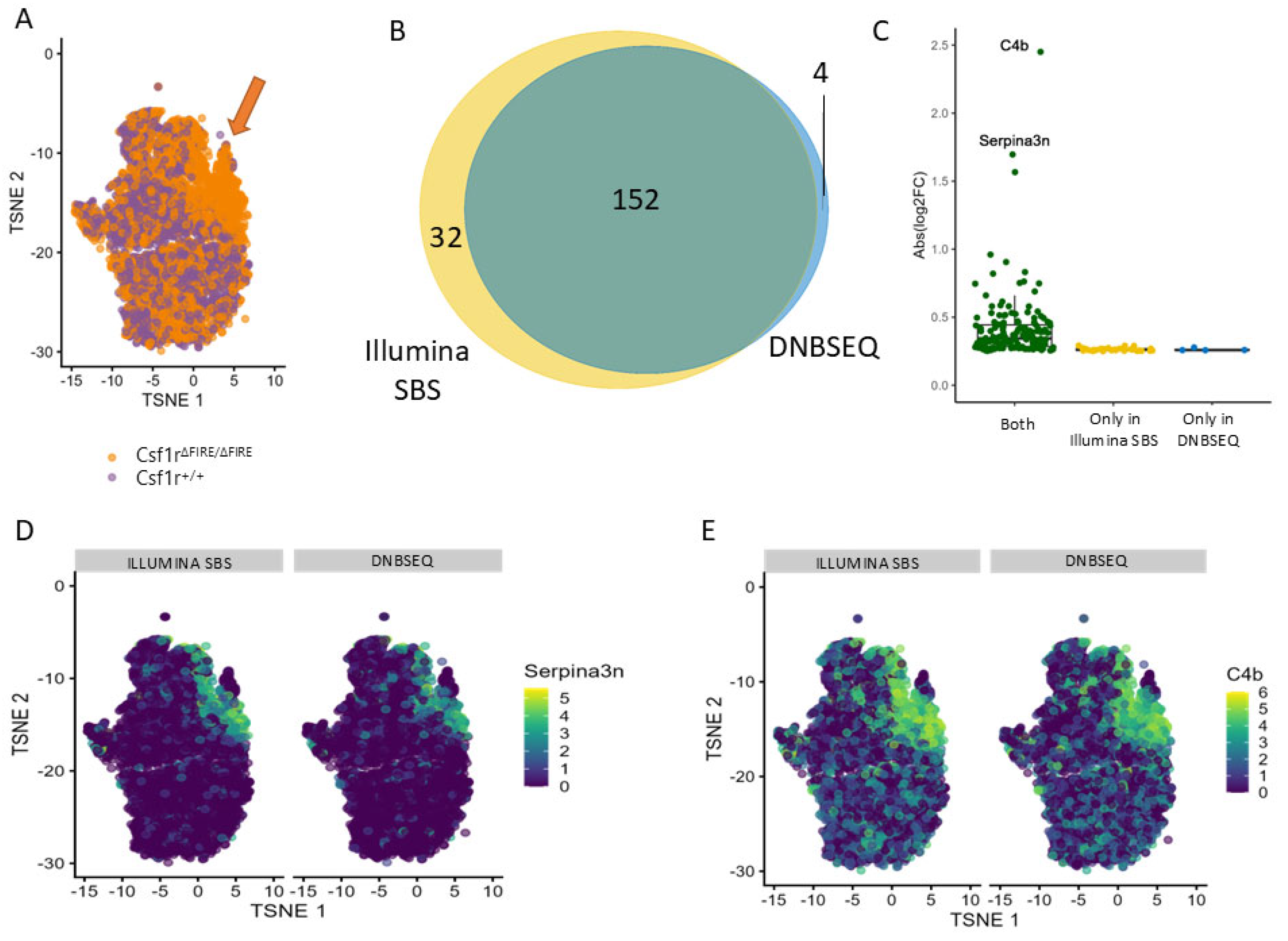 Genes 15 01436 g004
