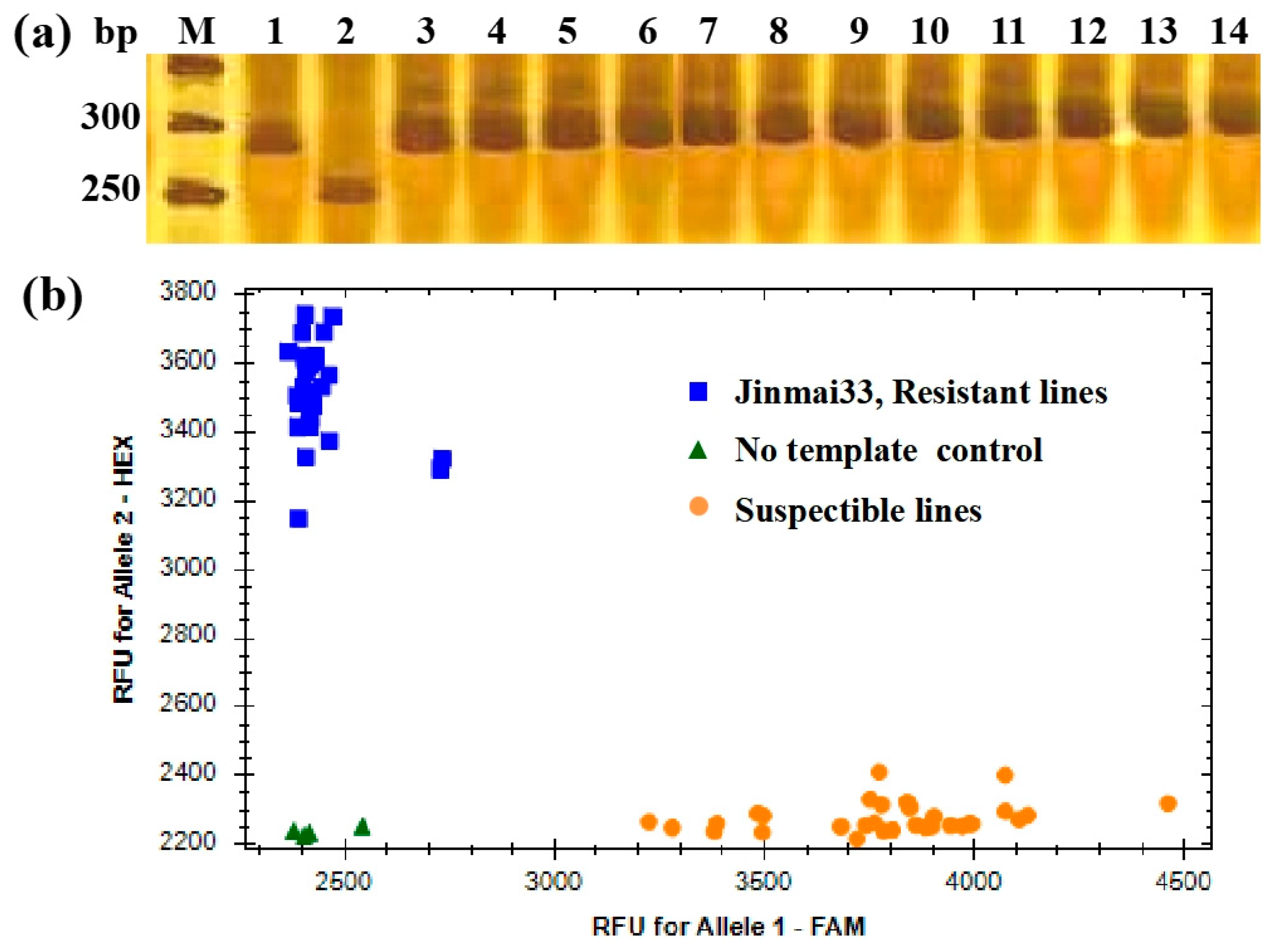Genes 15 01438 g003