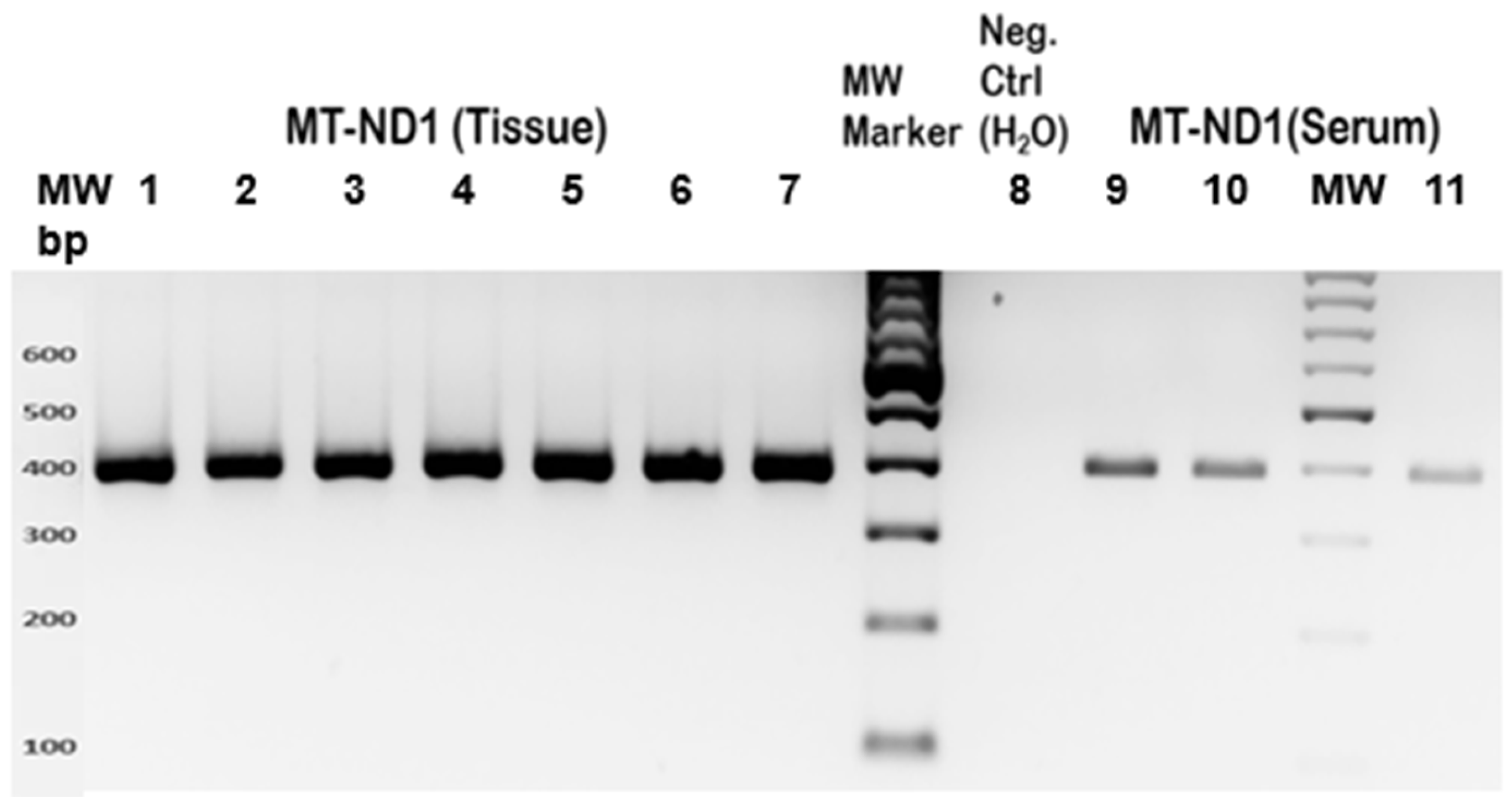 Genes 15 01442 g002