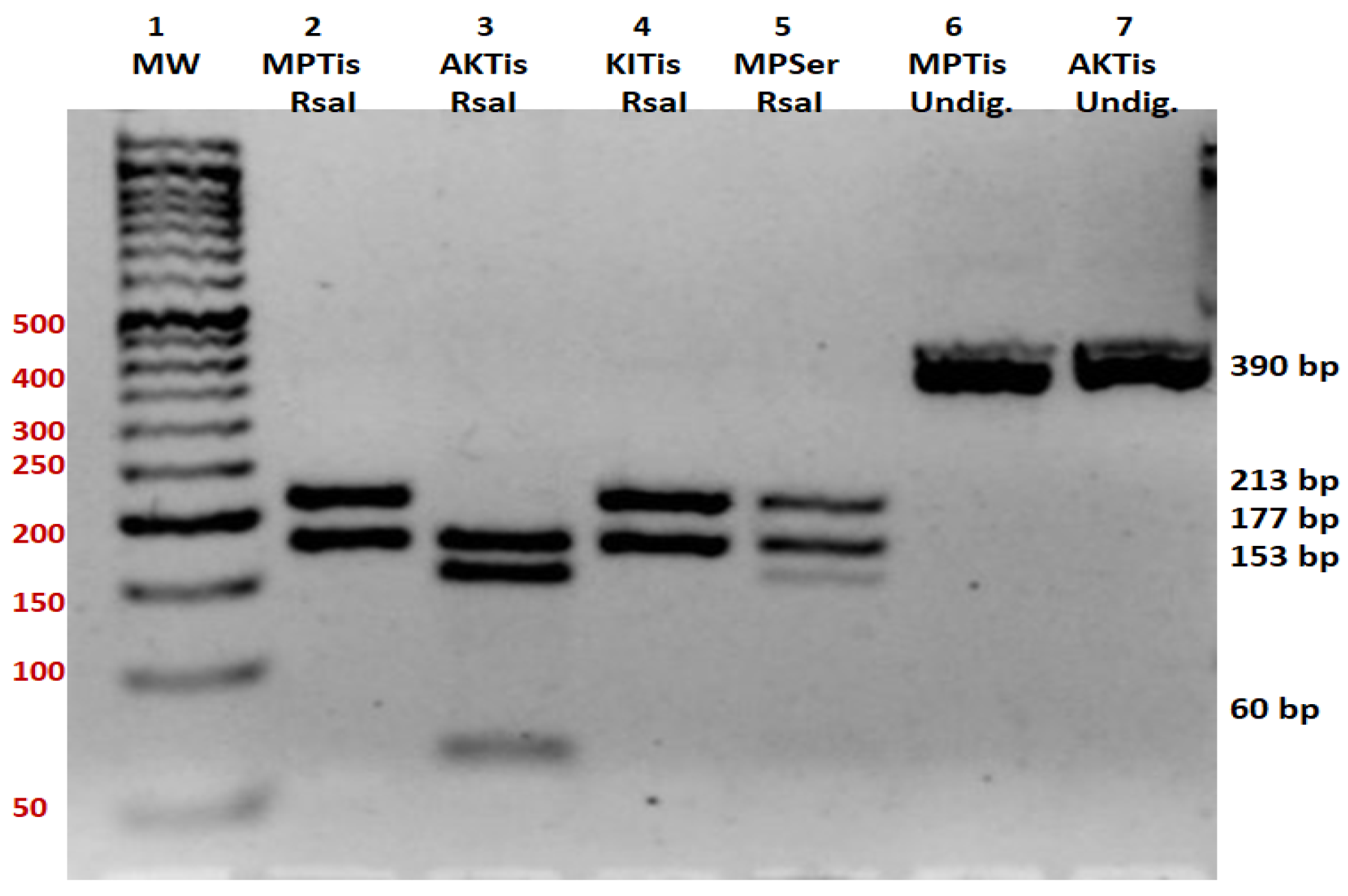 Genes 15 01442 g003