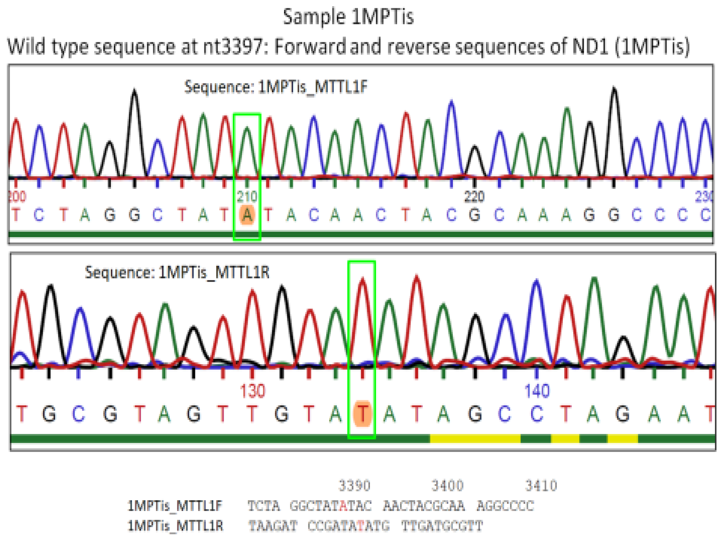 Genes 15 01442 g005a