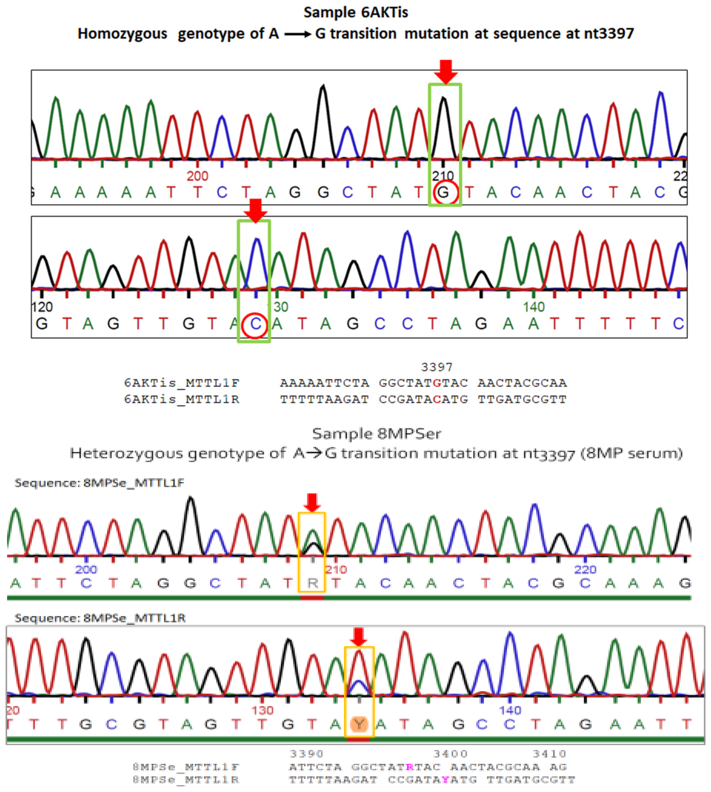 Genes 15 01442 g005b