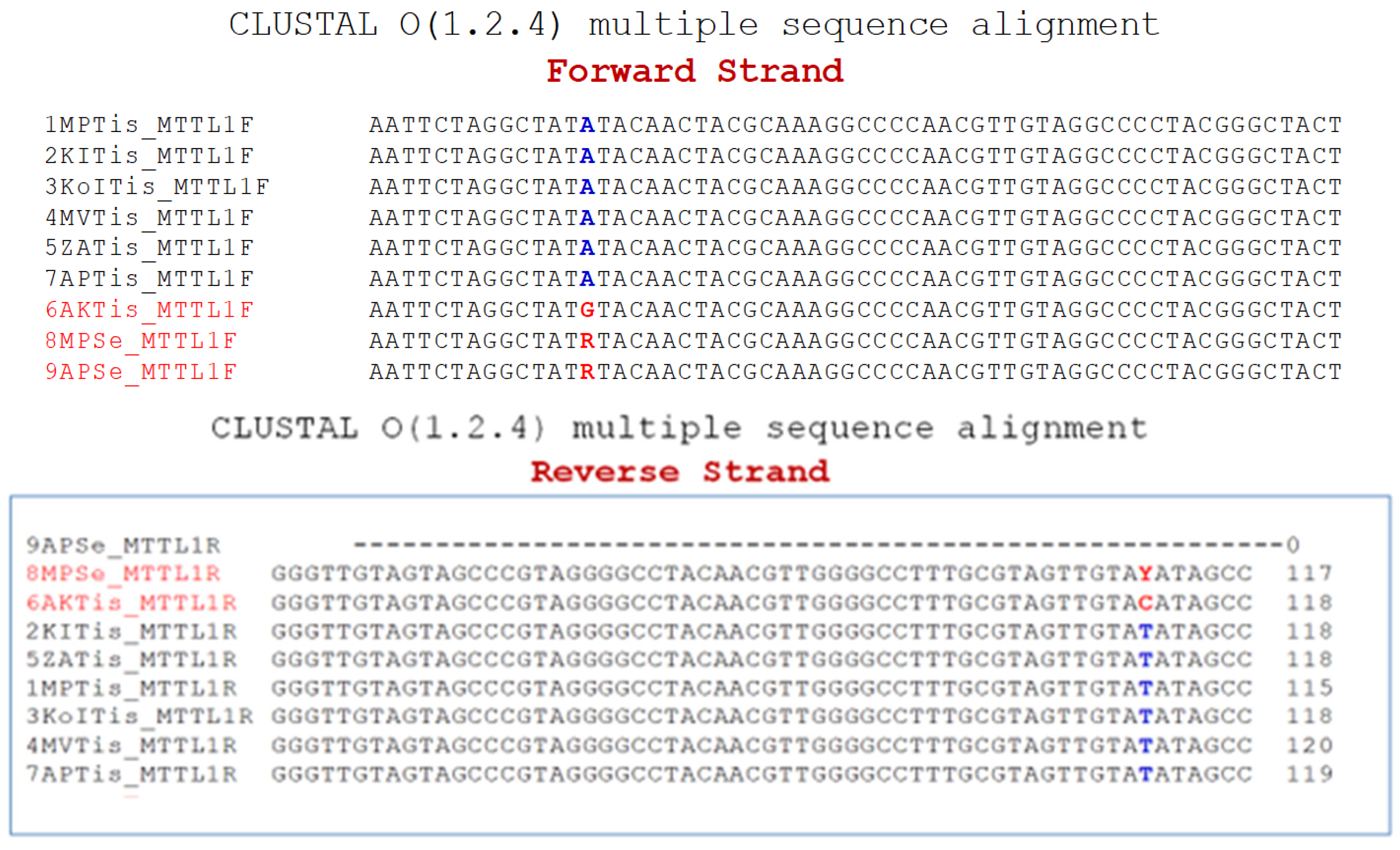 Genes 15 01442 g006