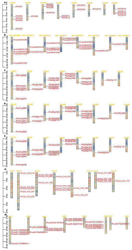 Genome-Wide Identification and Characterization of TCP Genes in Eight ...