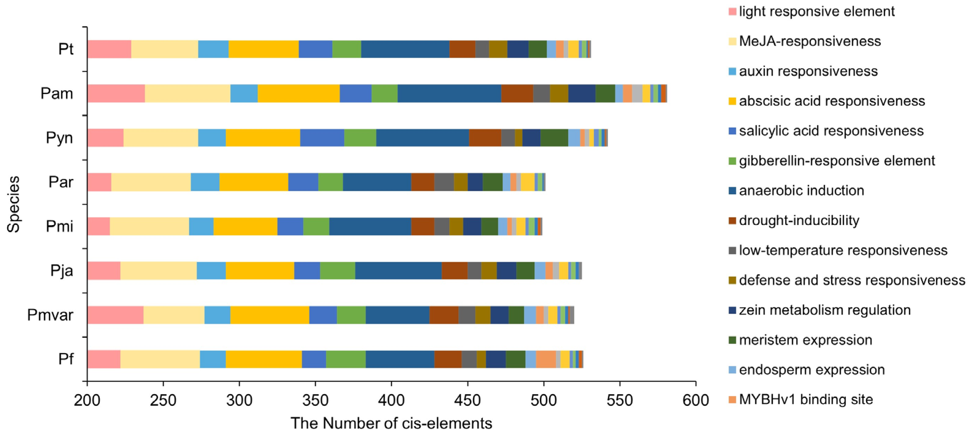 Genes 15 01443 g006
