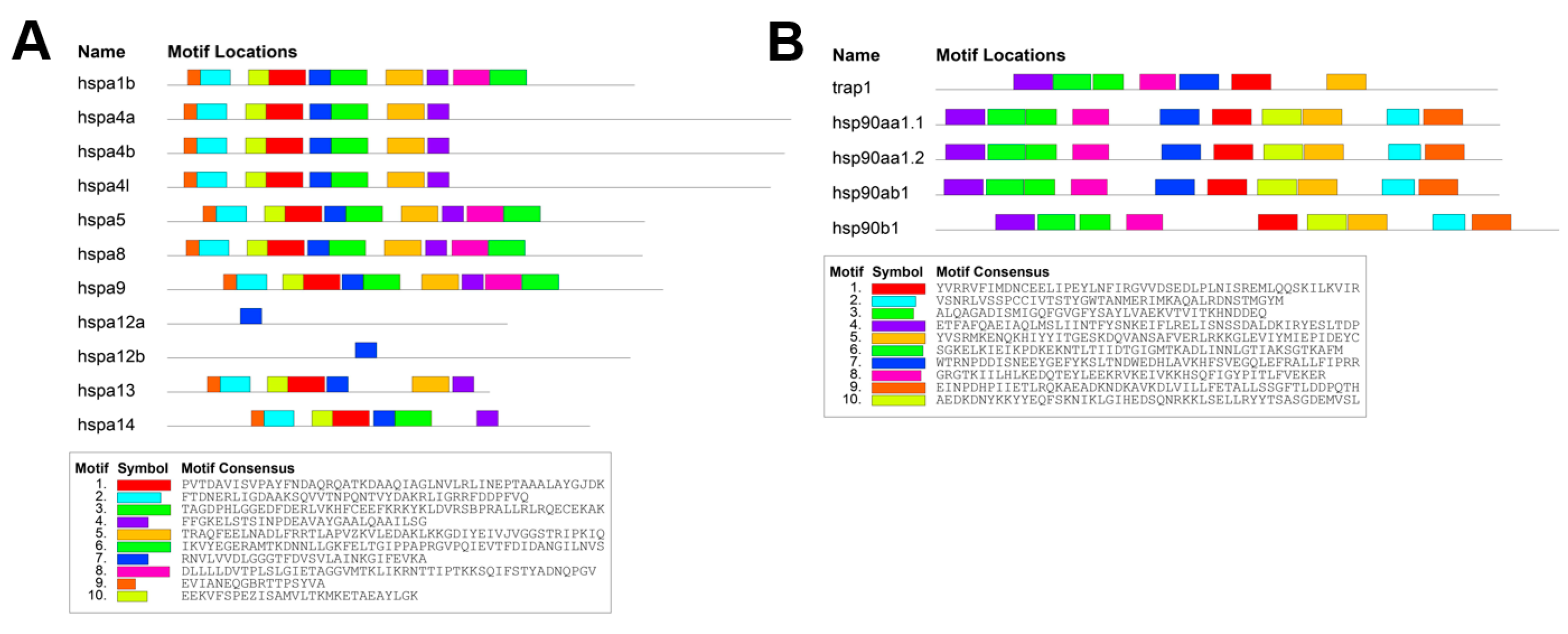Genes 15 01445 g003