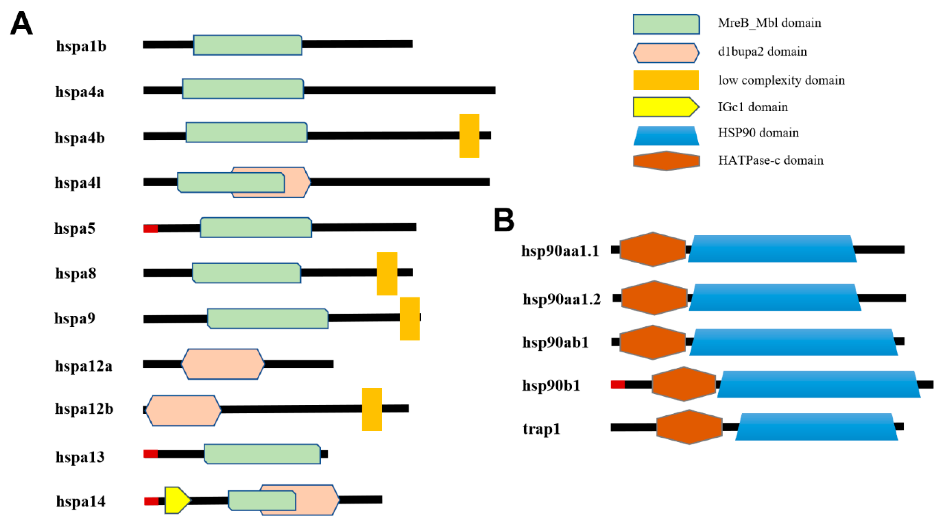 Genes 15 01445 g004