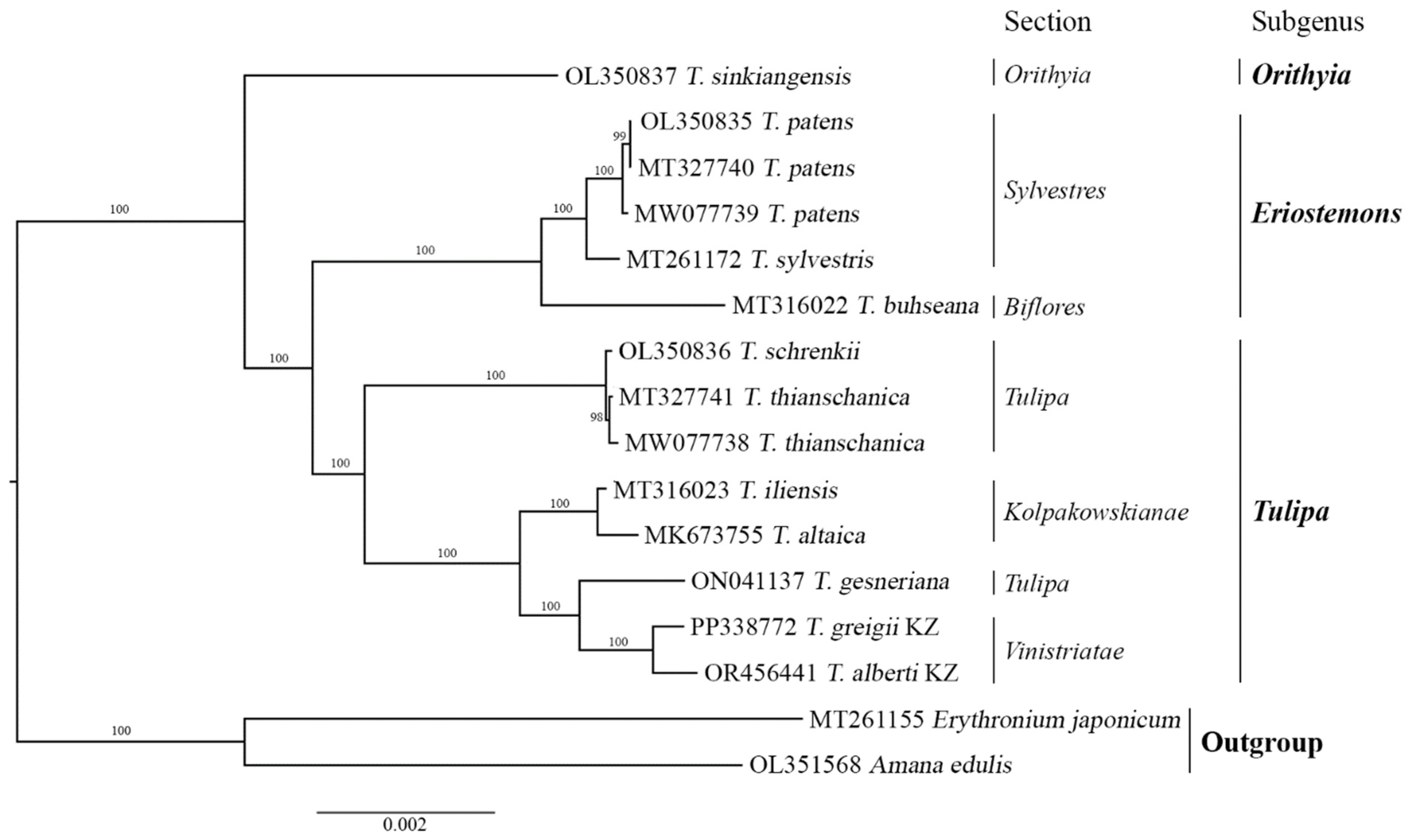 Genes 15 01447 g005
