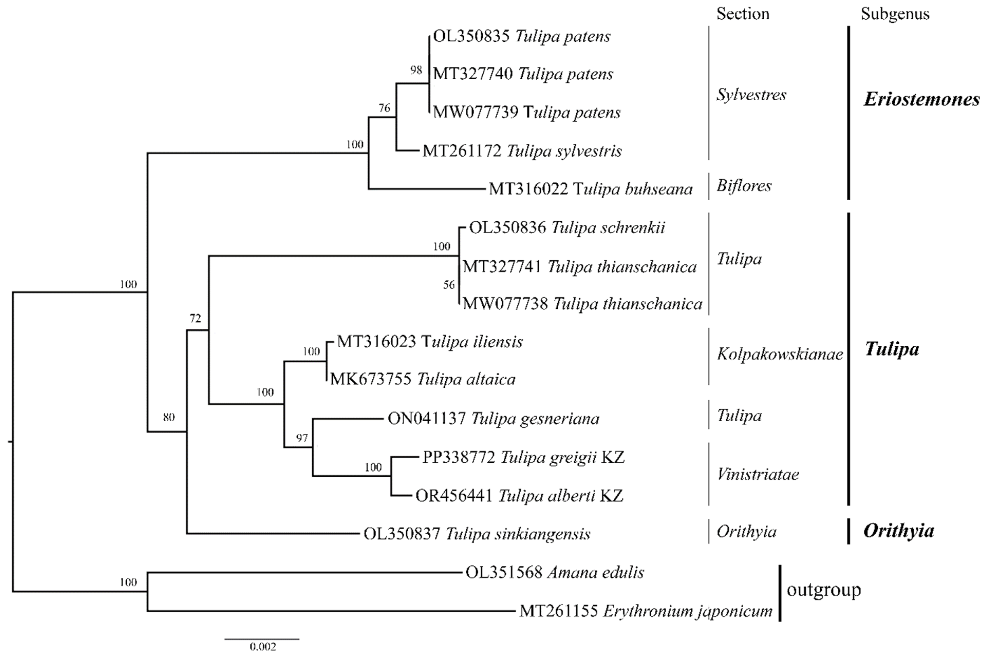 Genes 15 01447 g006