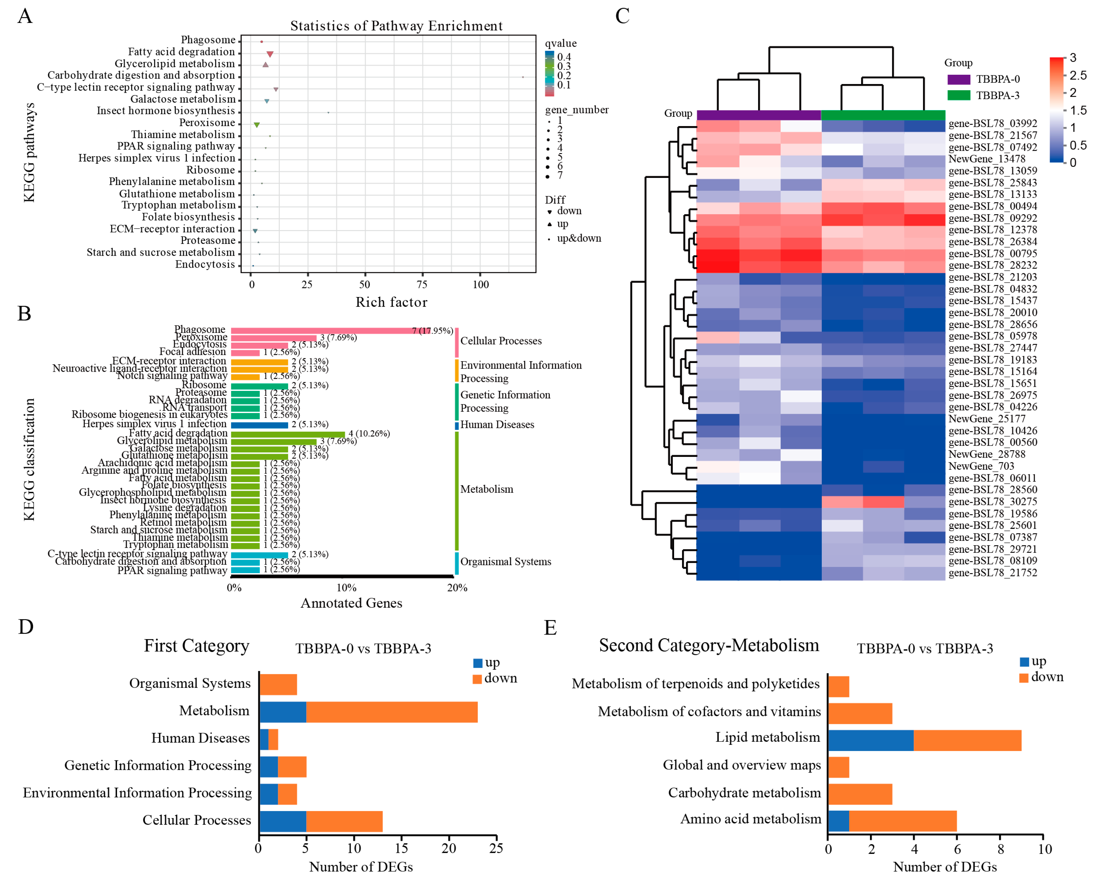 Genes 15 01448 g008