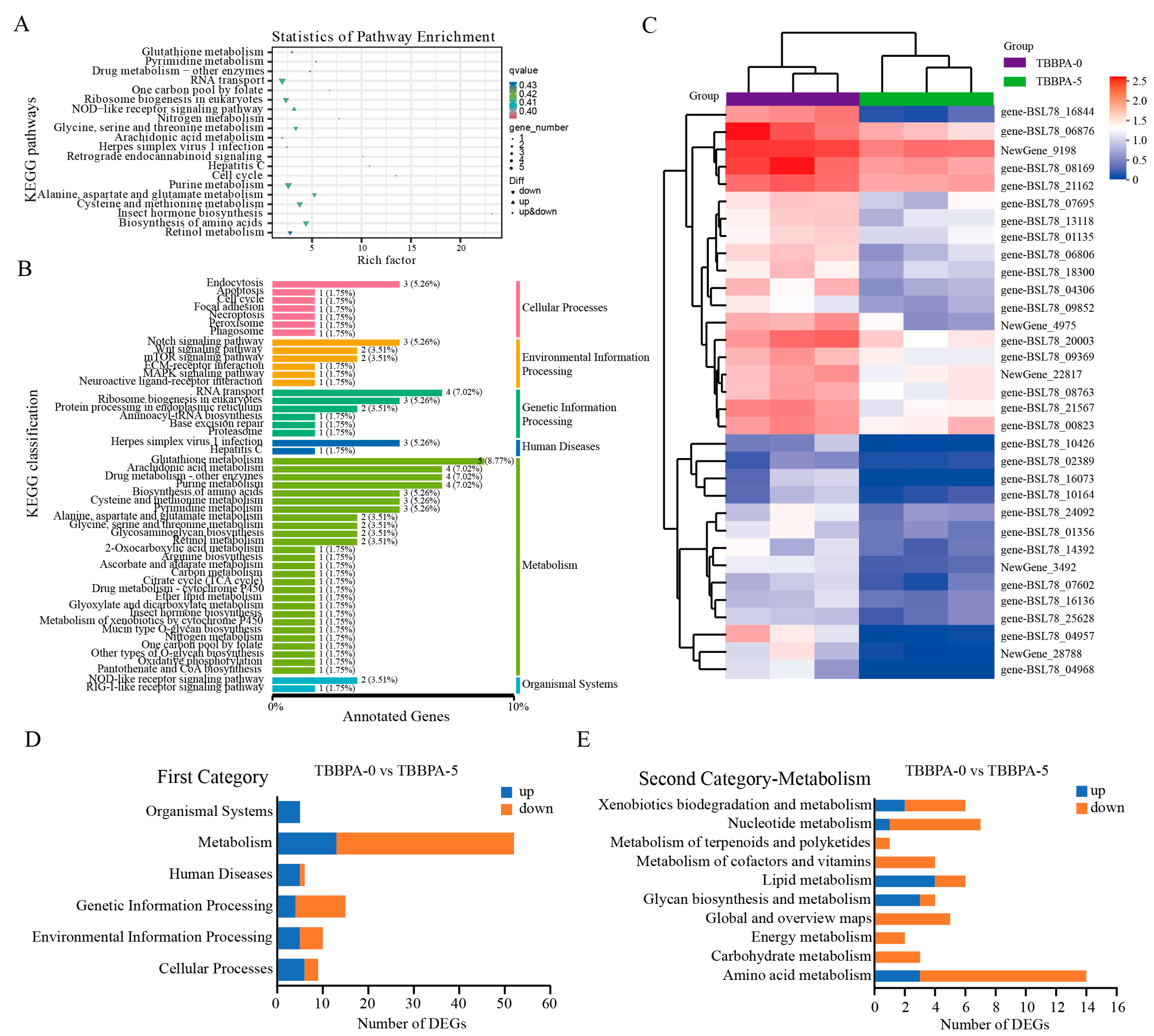 Genes 15 01448 g009