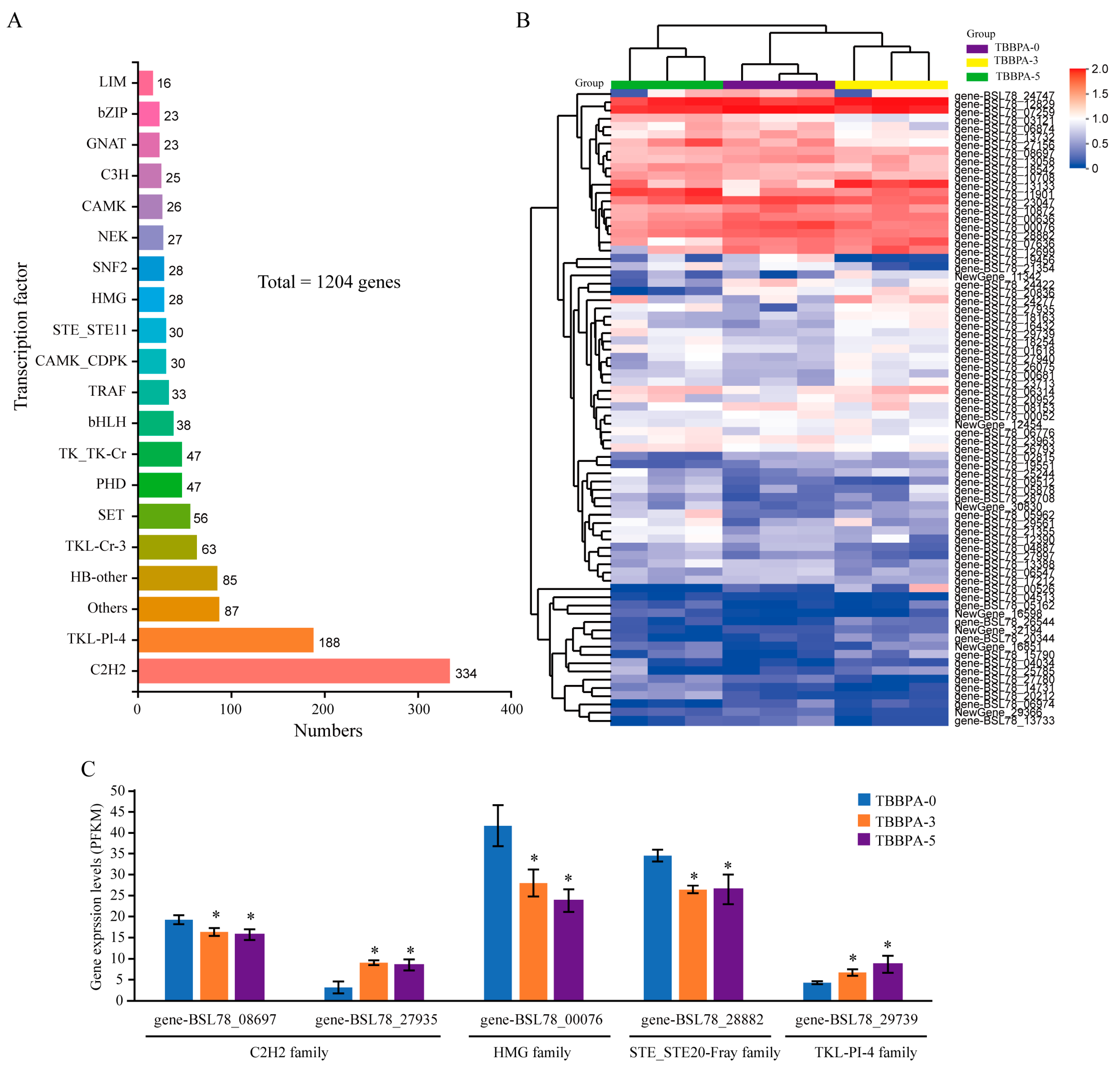 Genes 15 01448 g010