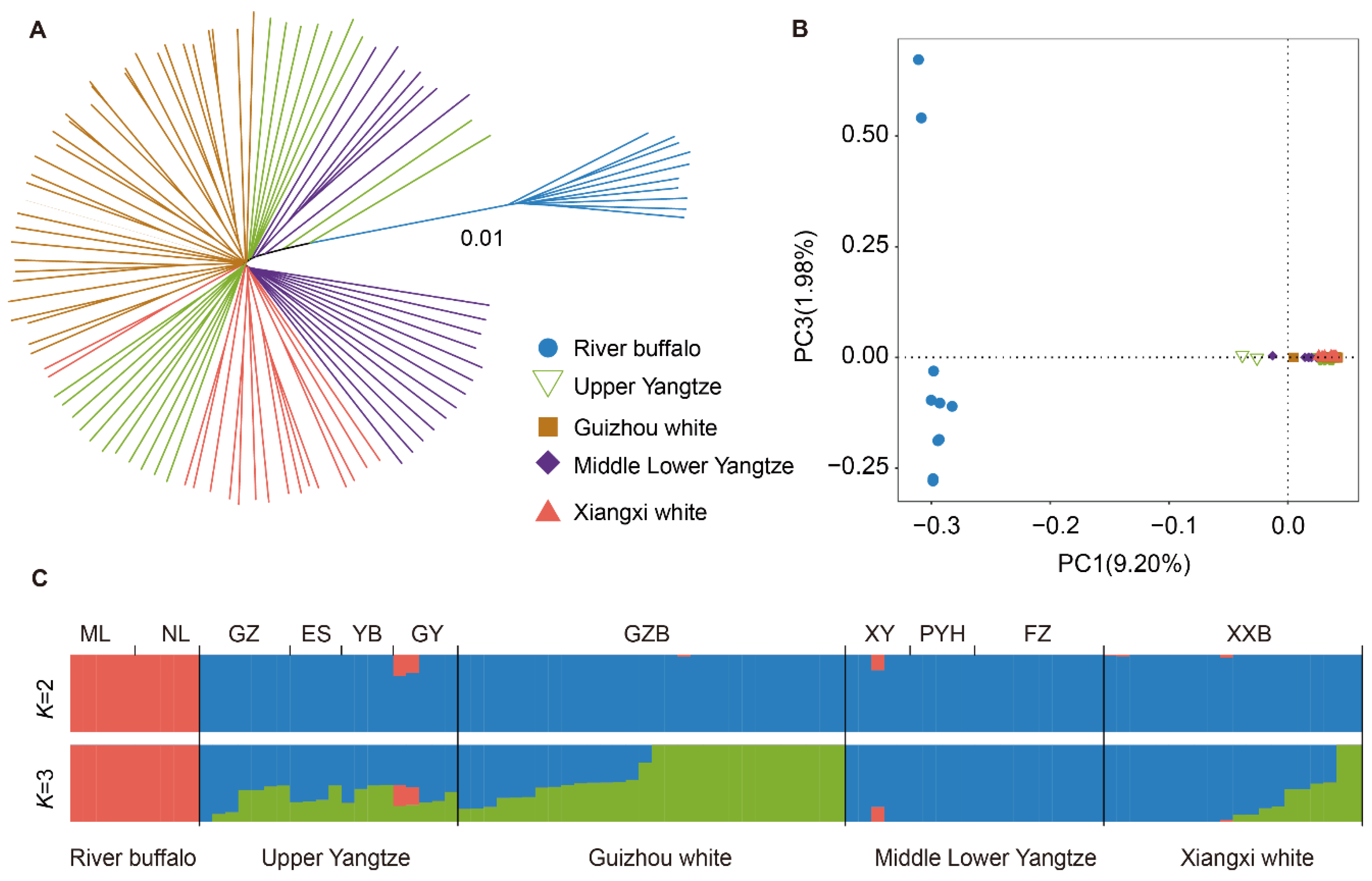 Genes 15 01450 g001