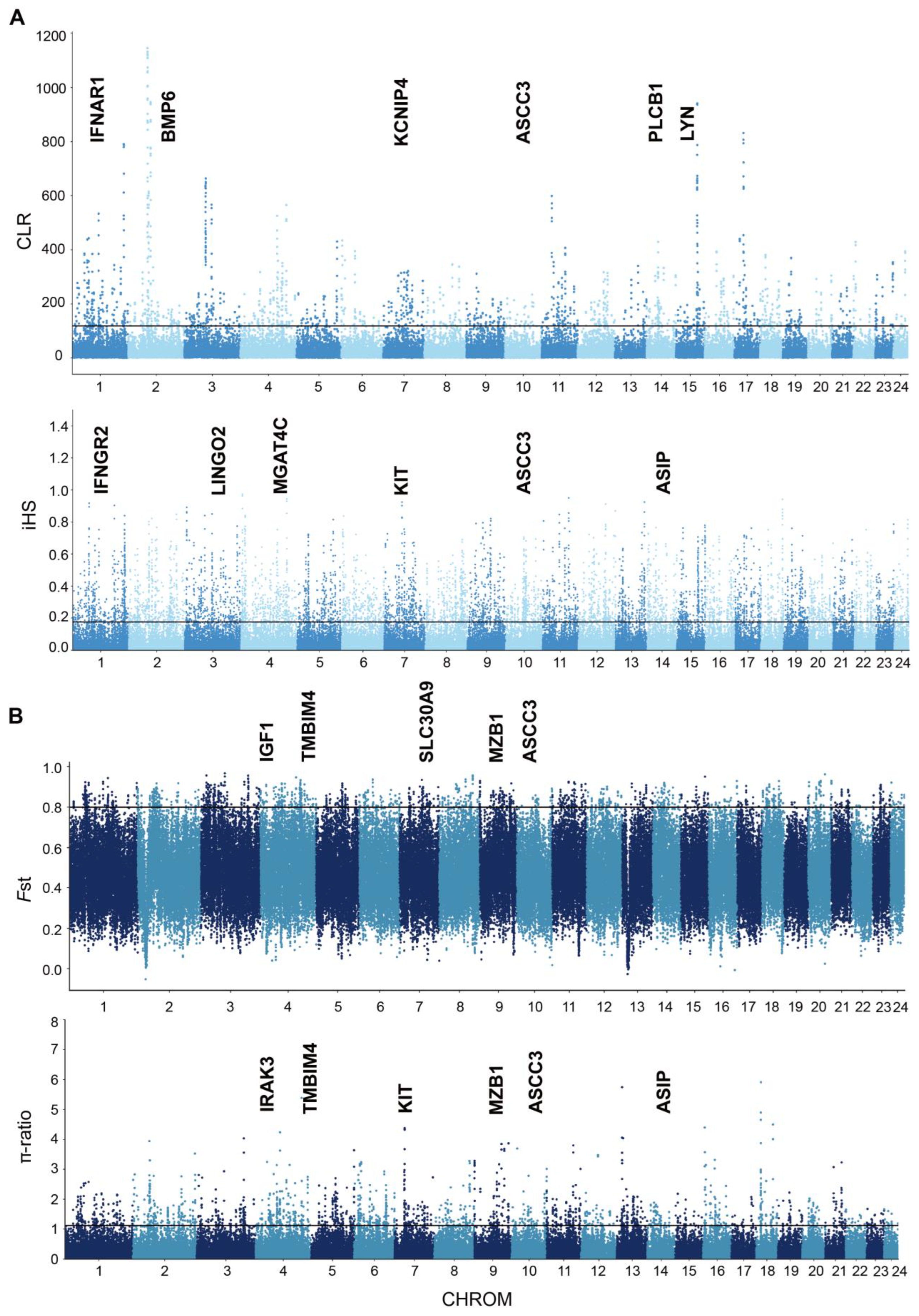Genes 15 01450 g003