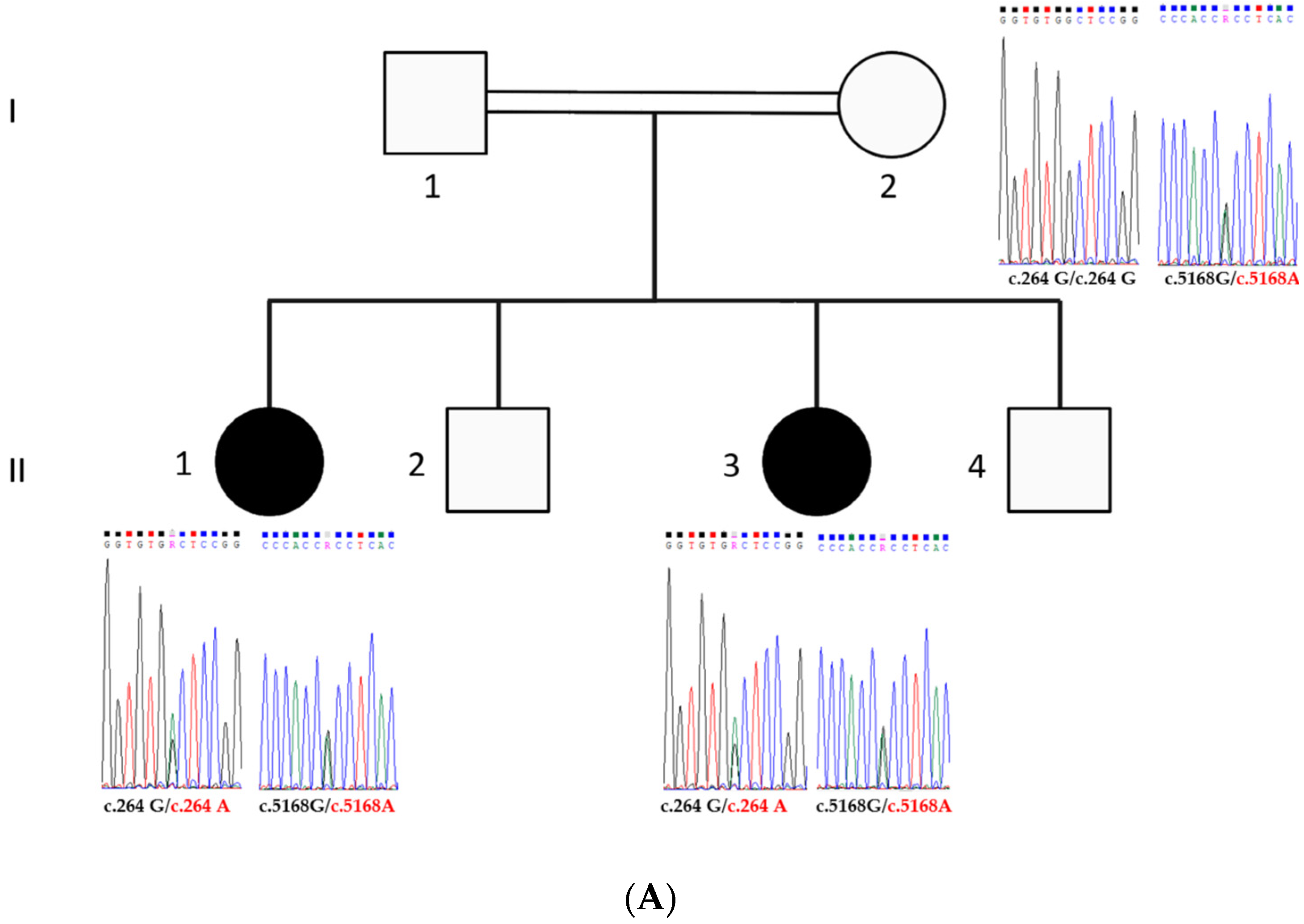 Genes 15 01451 g001a Genes 15 01451 g001a