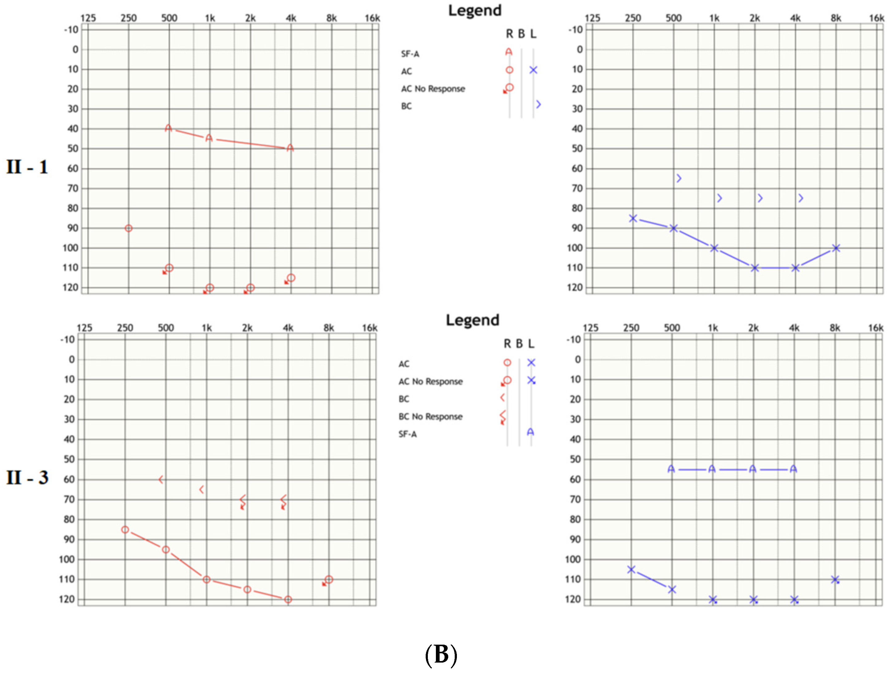 Genes 15 01451 g001b Genes 15 01451 g001b