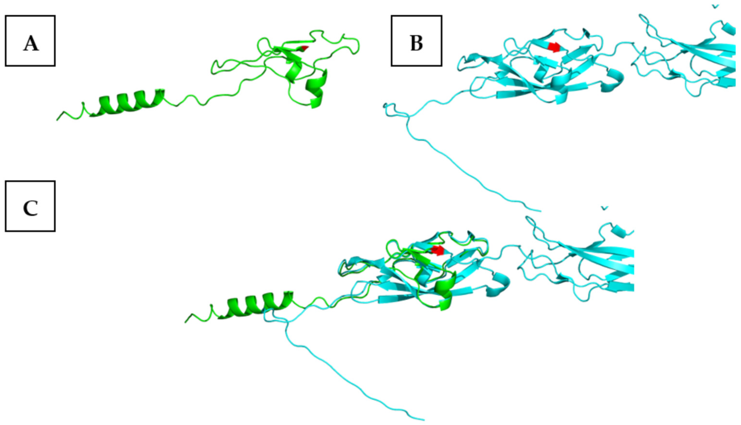 Genes 15 01451 g002 Genes 15 01451 g002
