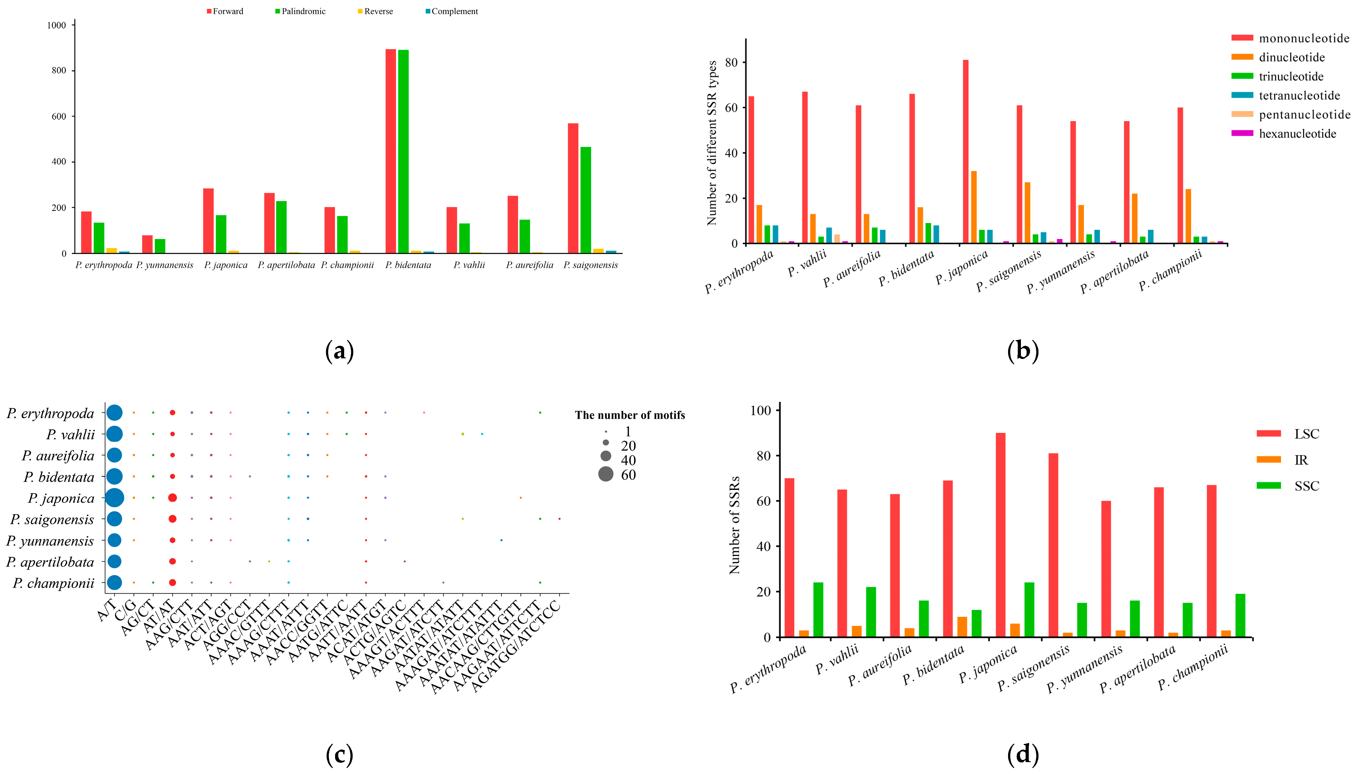 Genes 15 01456 g004