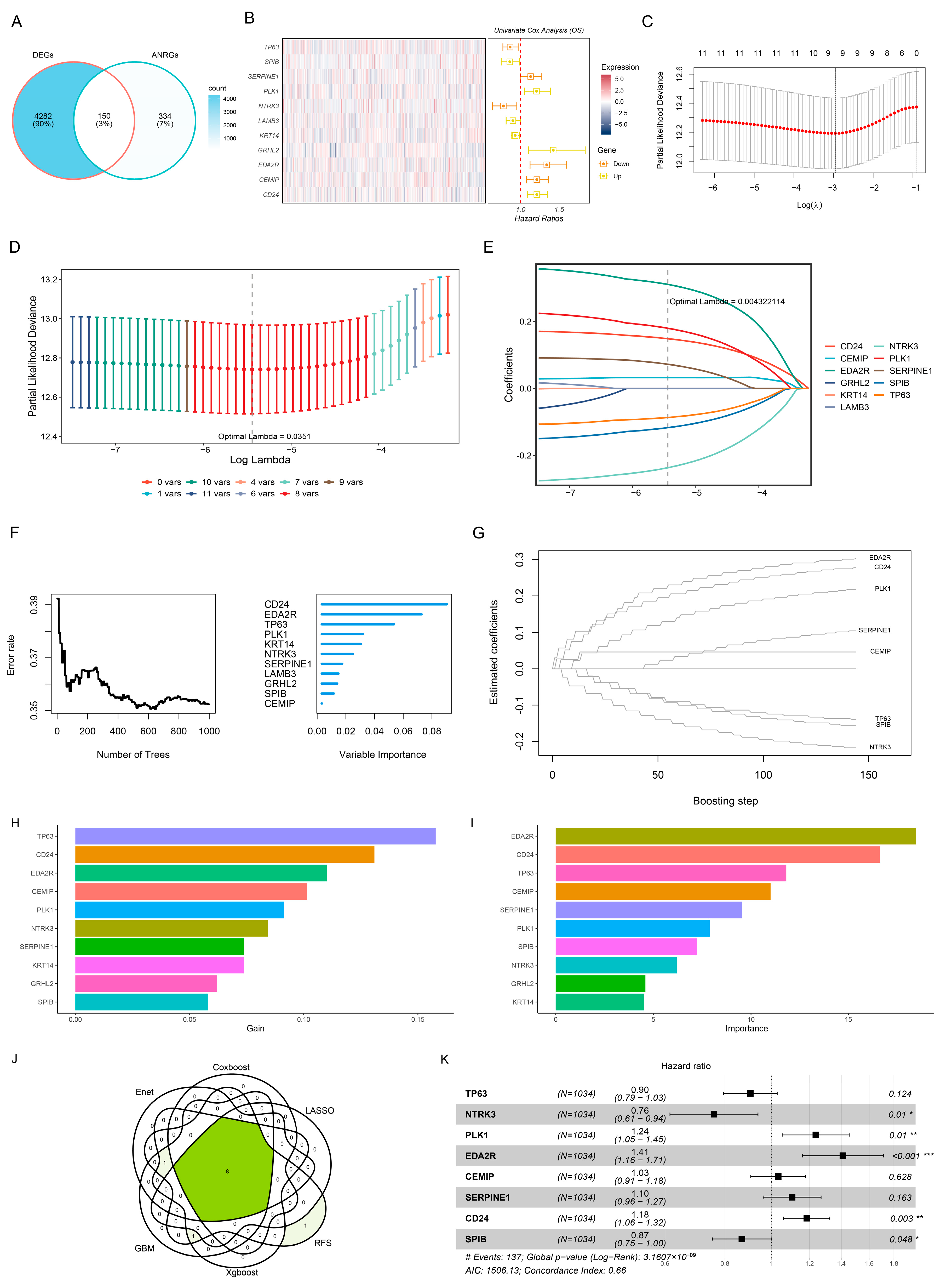 Genes 15 01458 g001