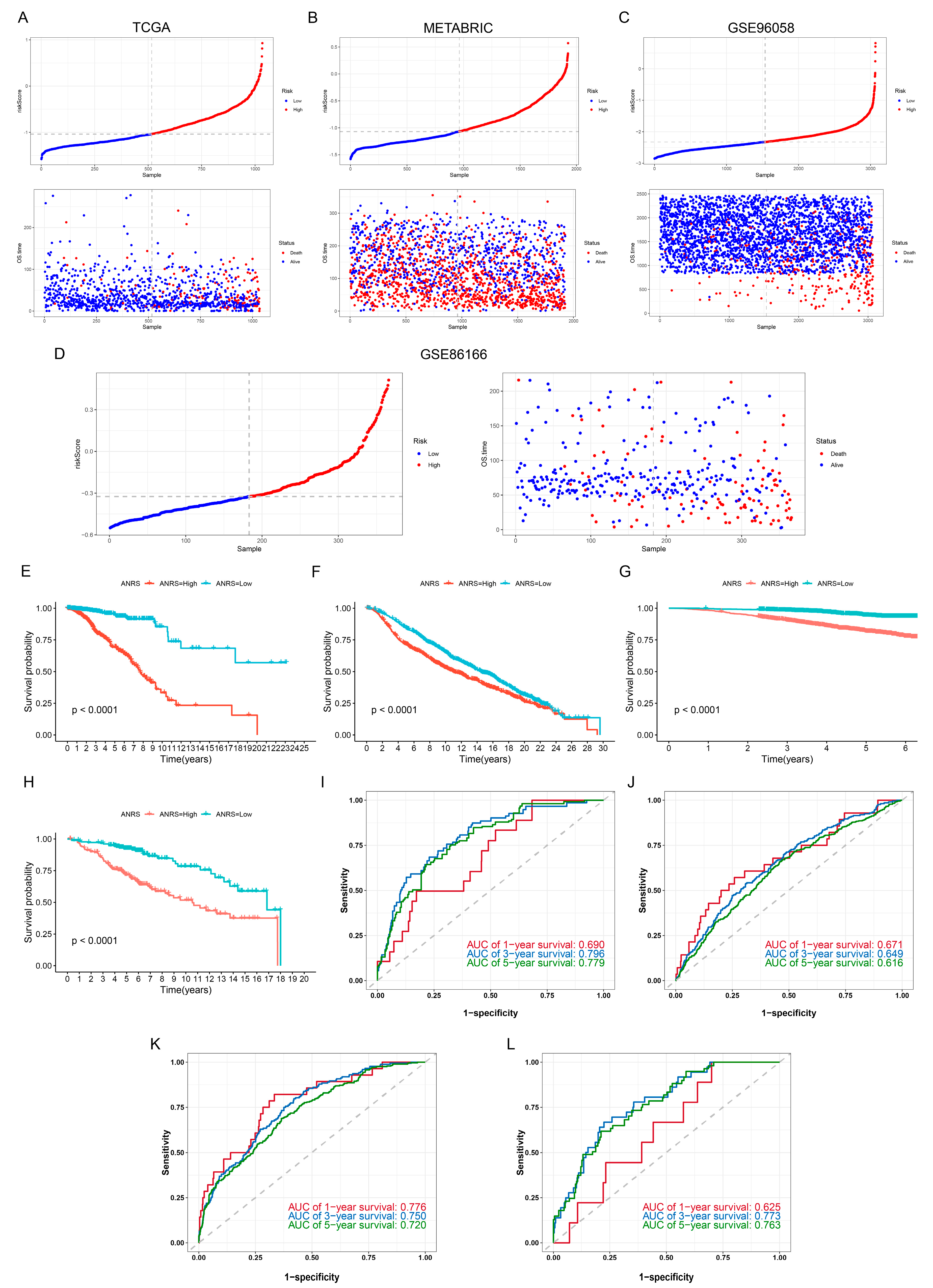 Genes 15 01458 g002