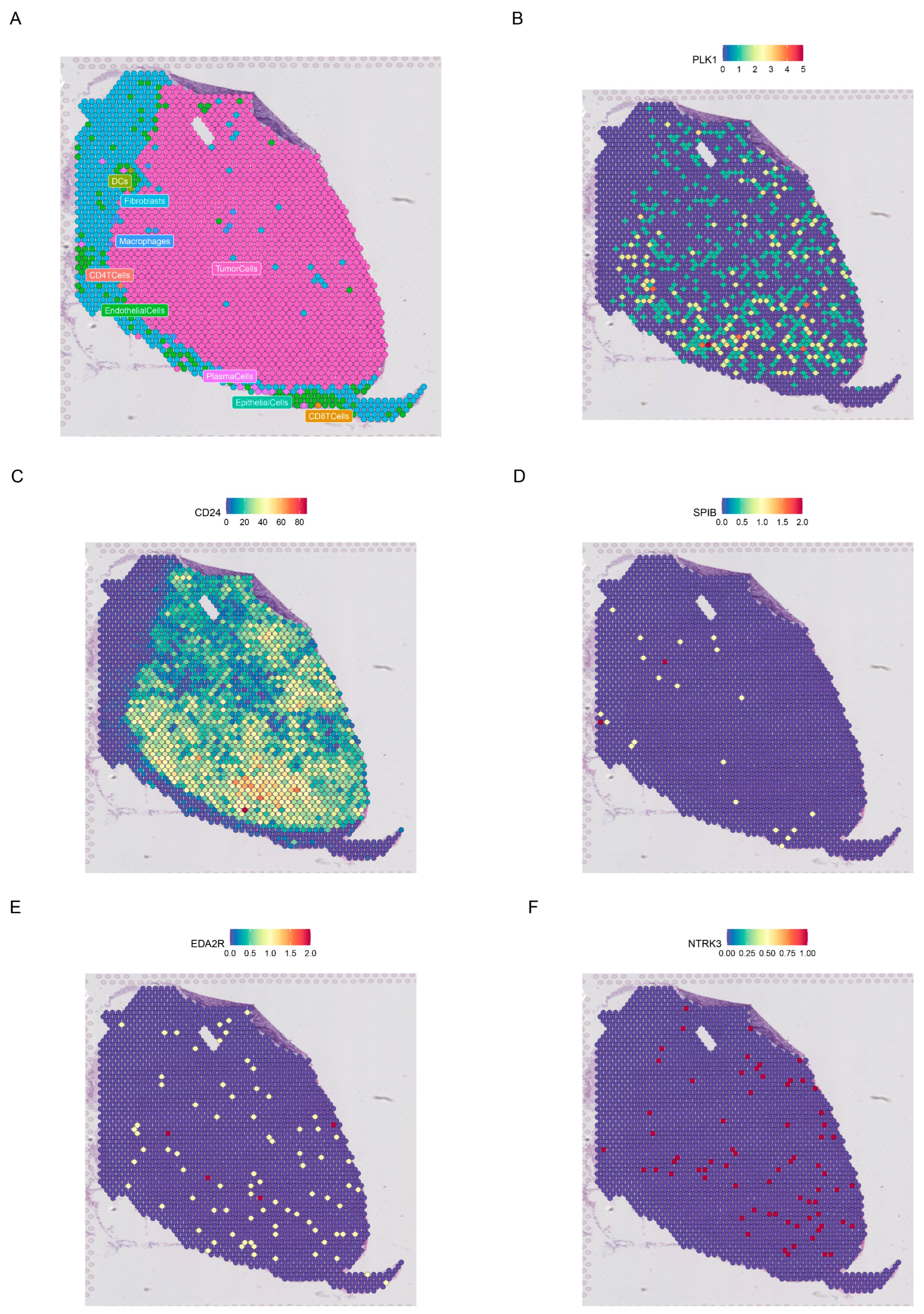Genes 15 01458 g008