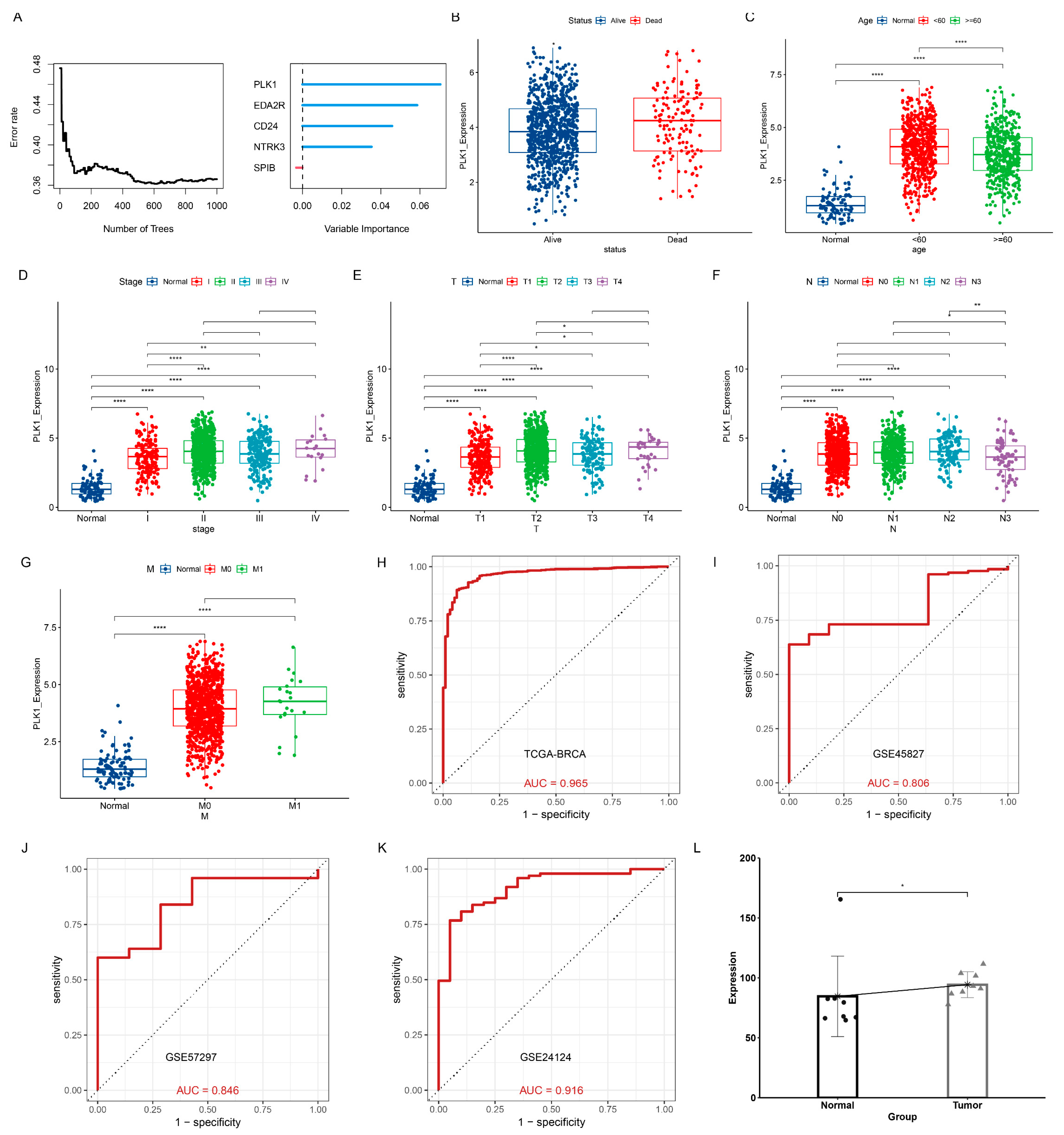 Genes 15 01458 g012