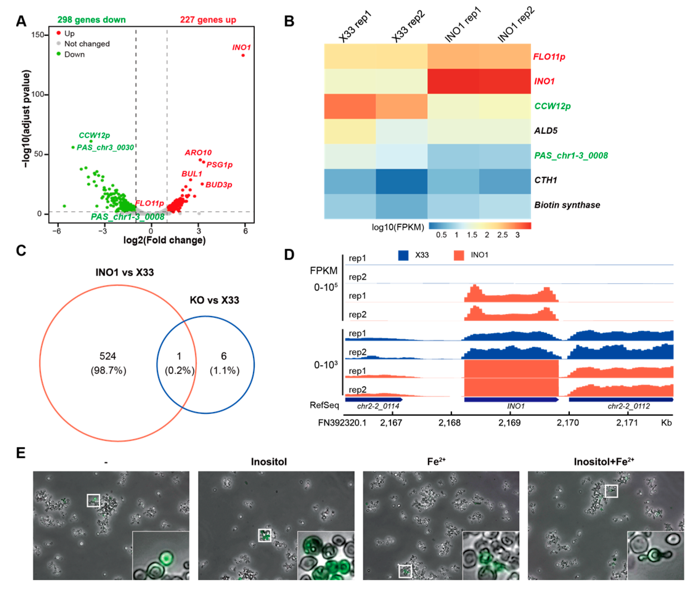 Genes 15 01459 g004 Genes 15 01459 g004