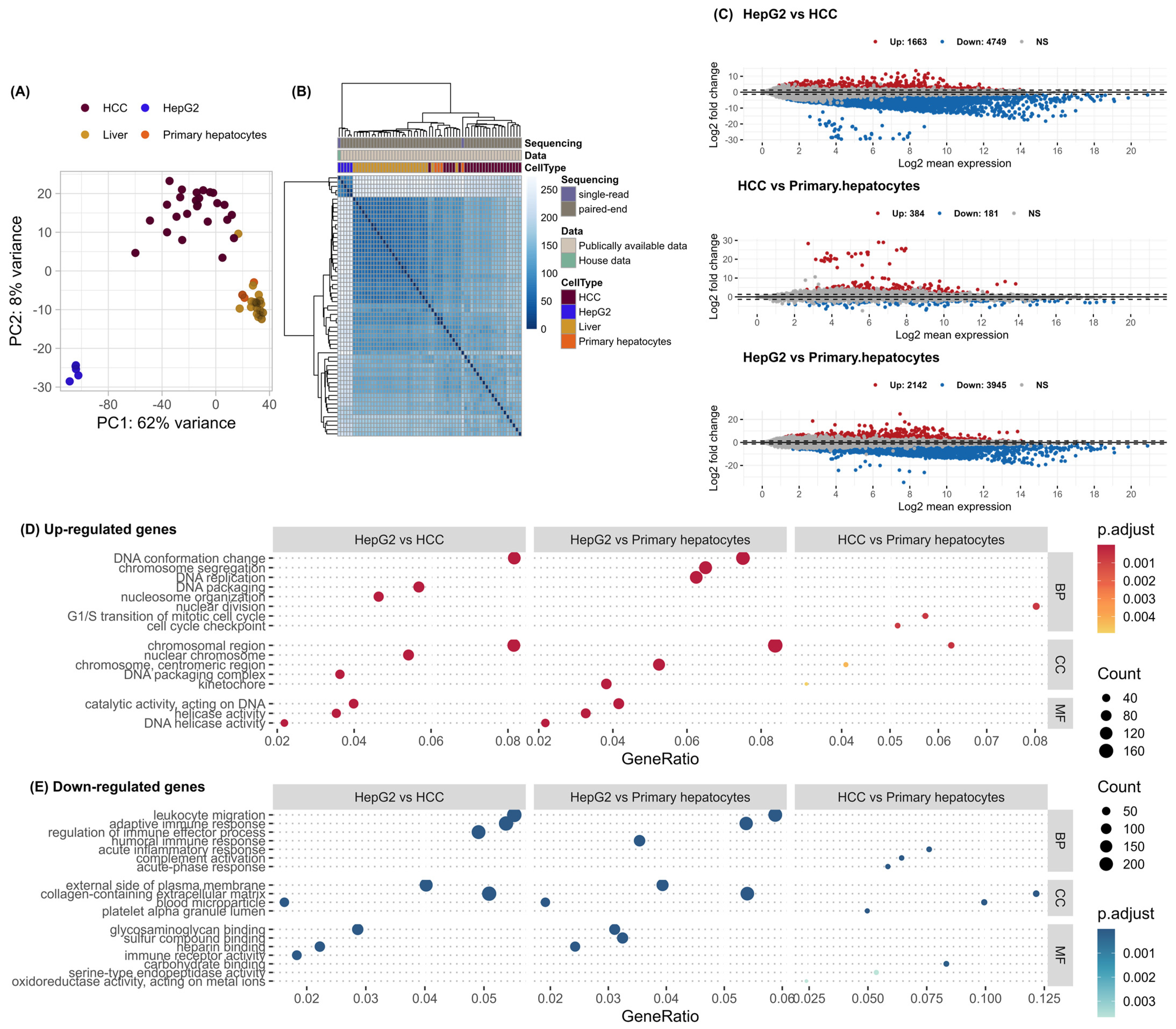 Genes 15 01460 g001 Genes 15 01460 g001
