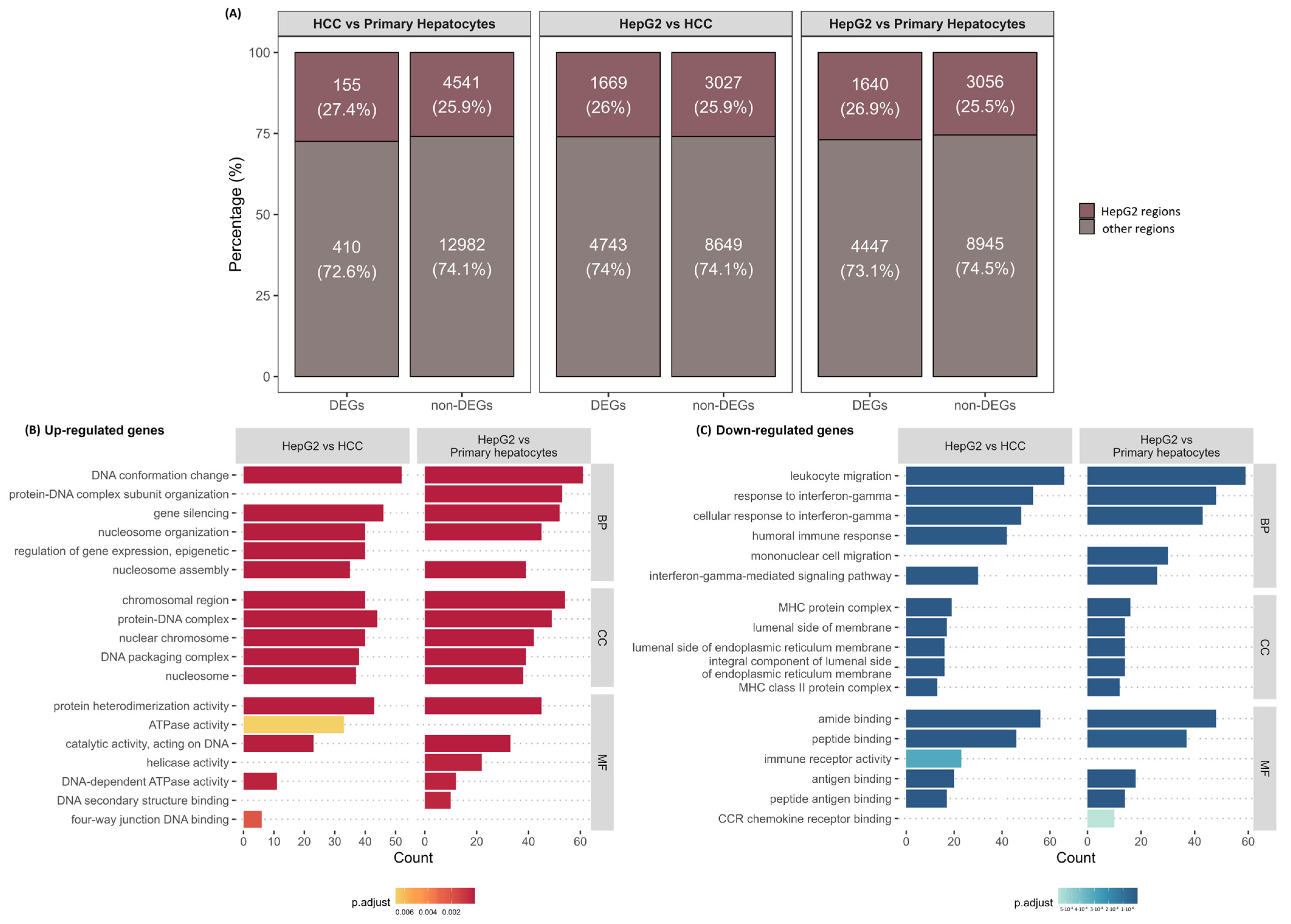 Genes 15 01460 g002 Genes 15 01460 g002