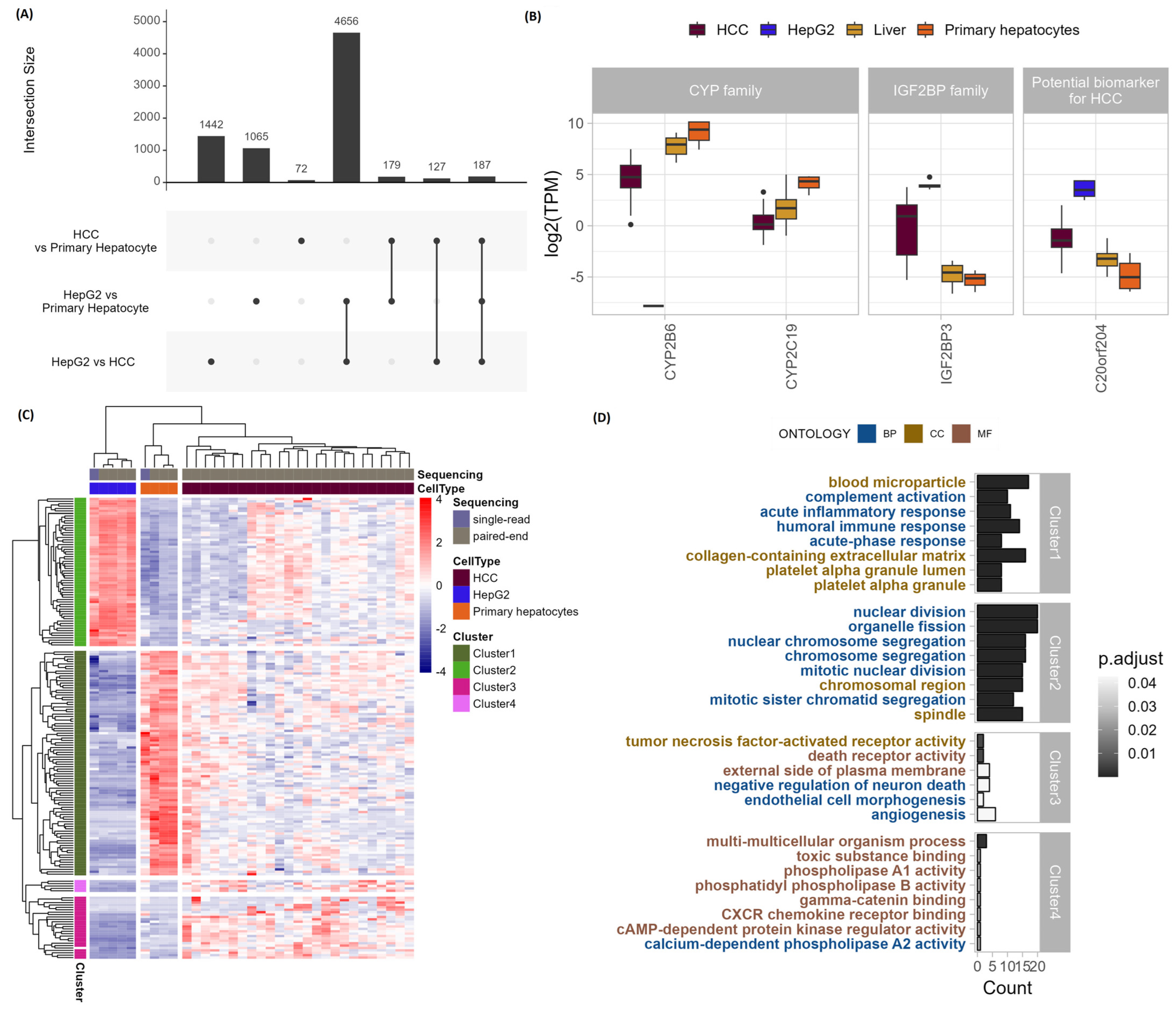 Genes 15 01460 g003 Genes 15 01460 g003