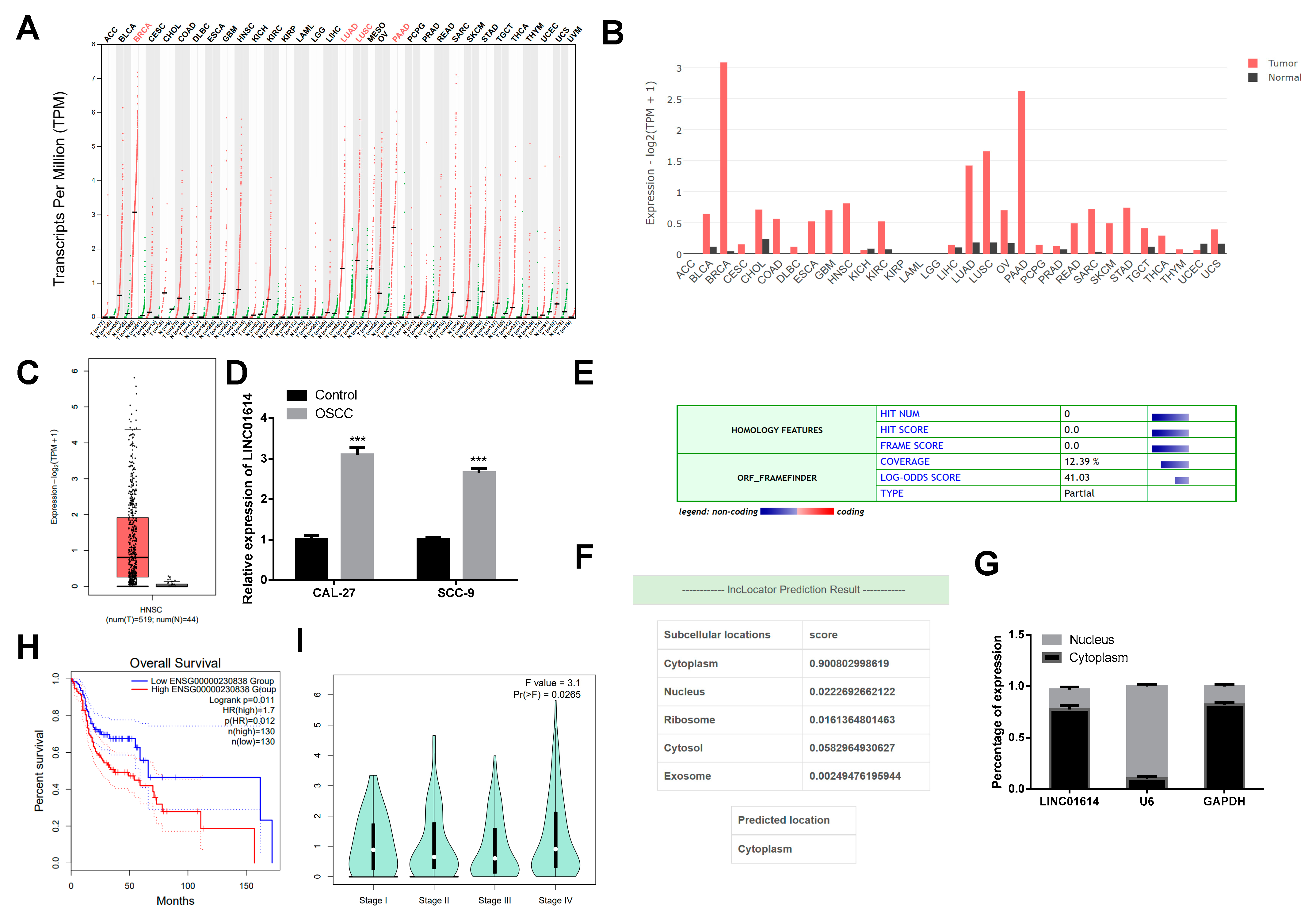 Genes 15 01461 g001
