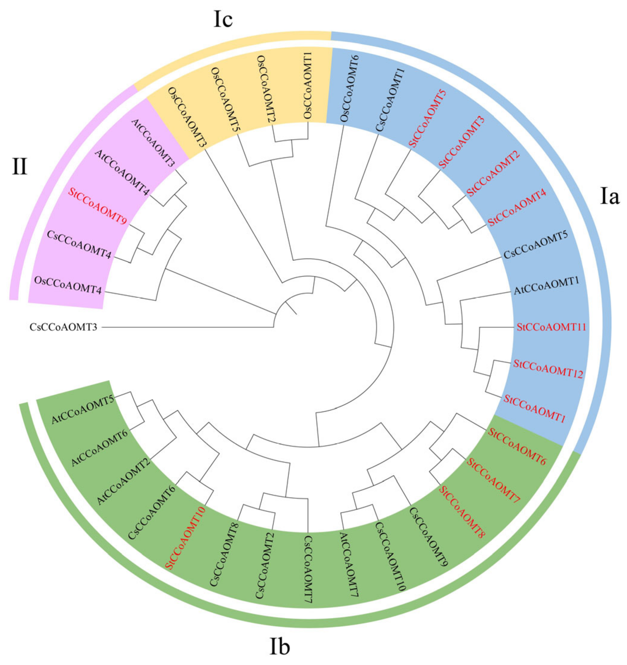Genes 15 01466 g002