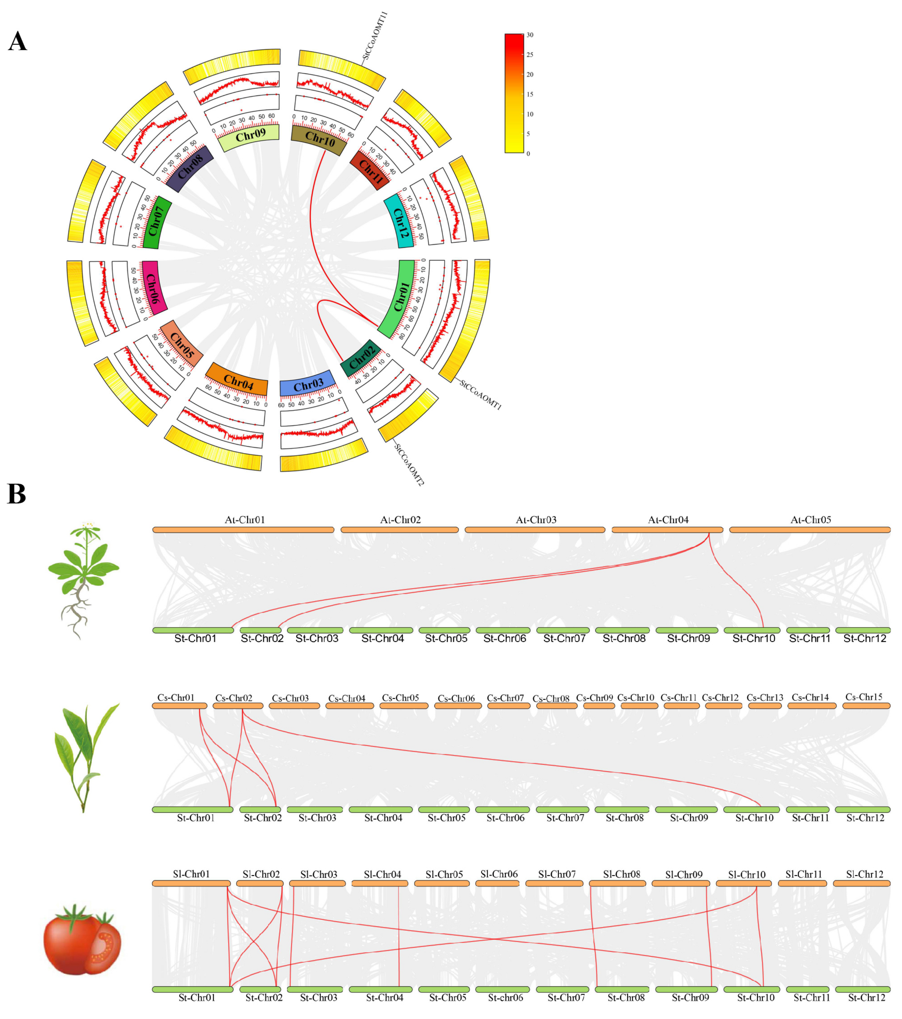 Genes 15 01466 g003