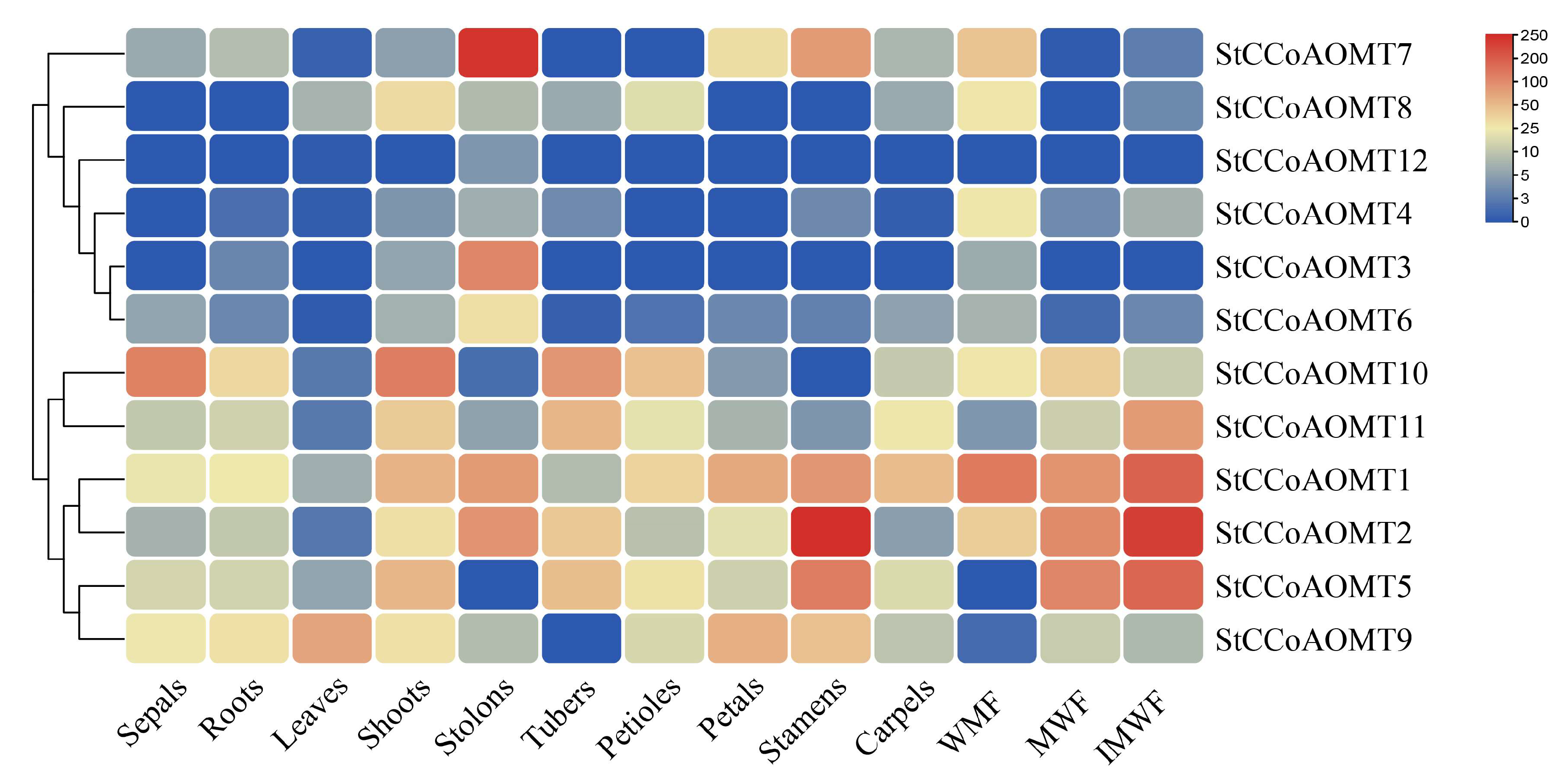 Genes 15 01466 g006