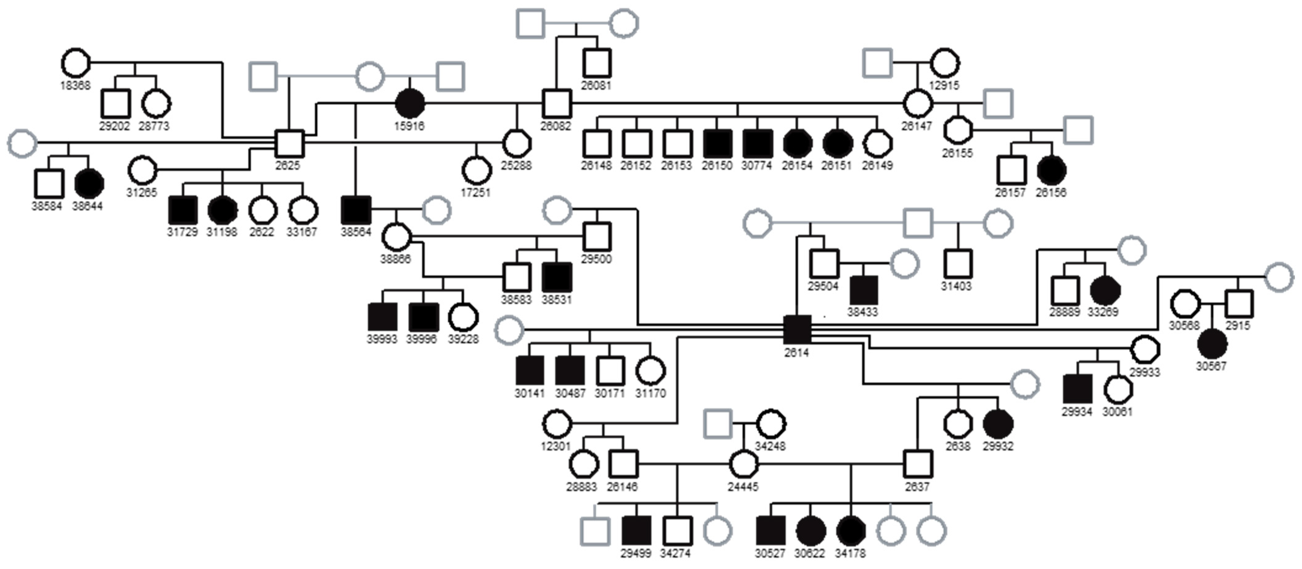 Genes 15 01469 g002 Genes 15 01469 g002