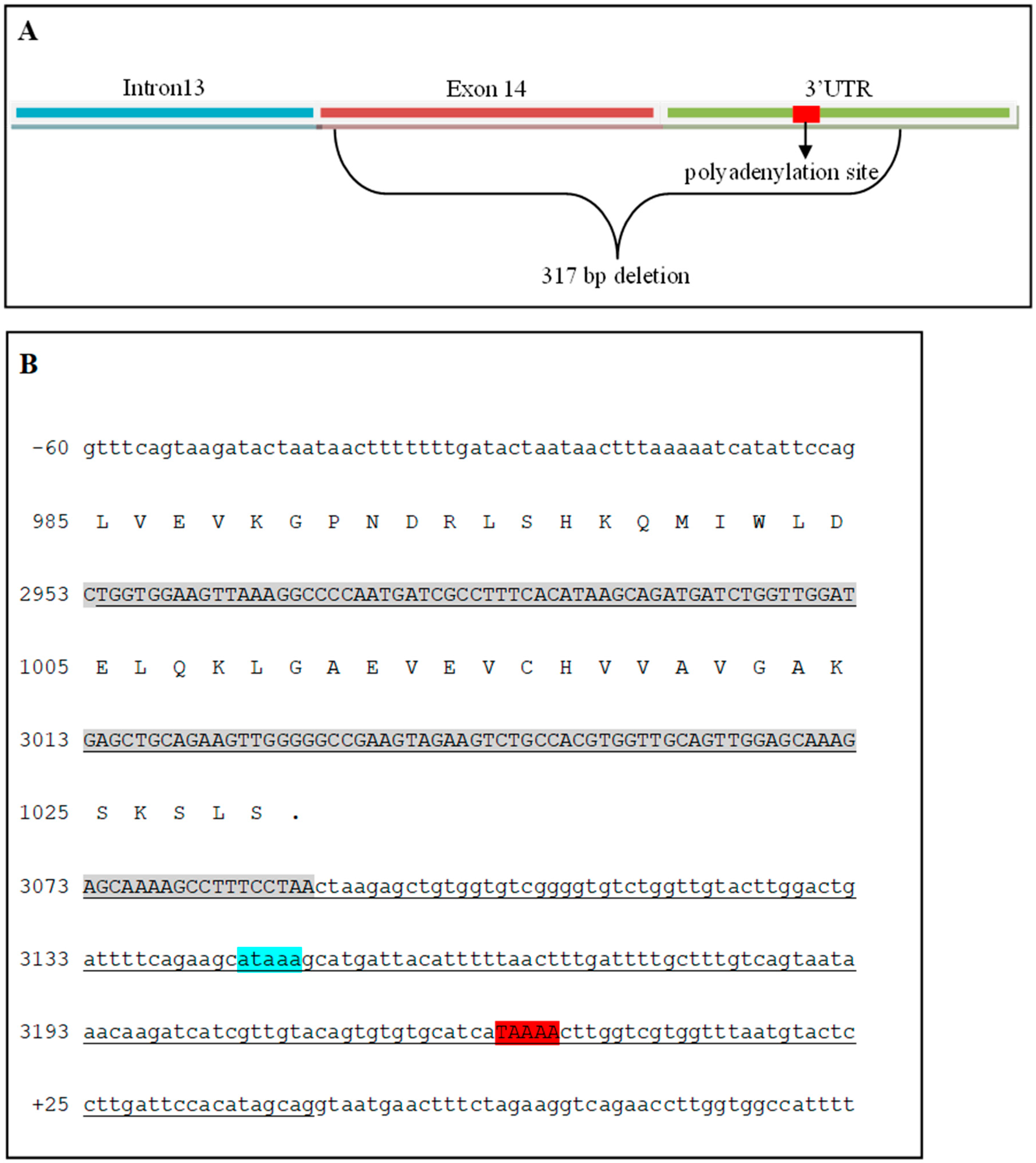 Genes 15 01469 g006 Genes 15 01469 g006