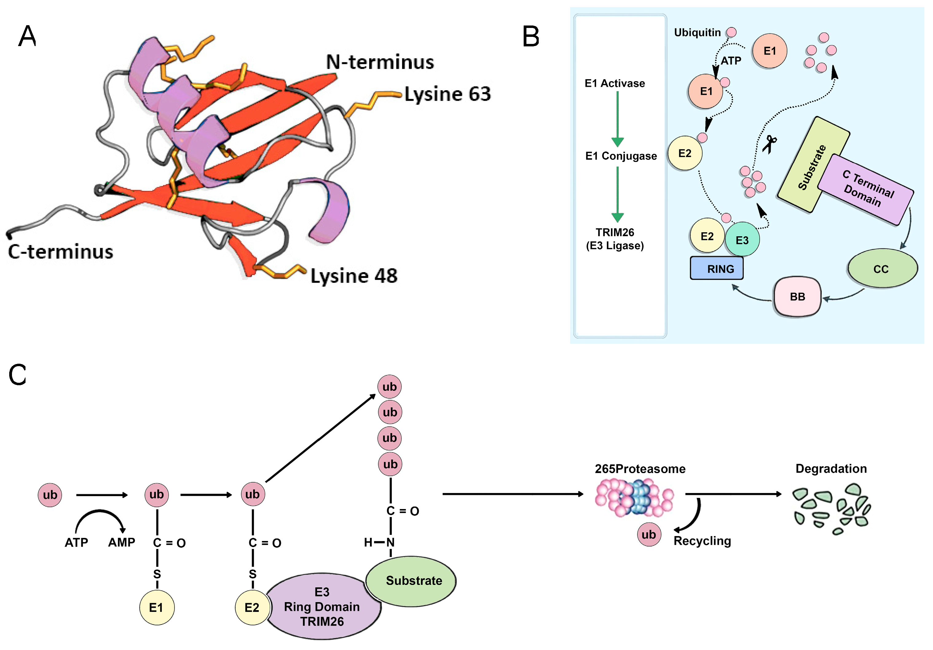 Genes 15 01476 g006
