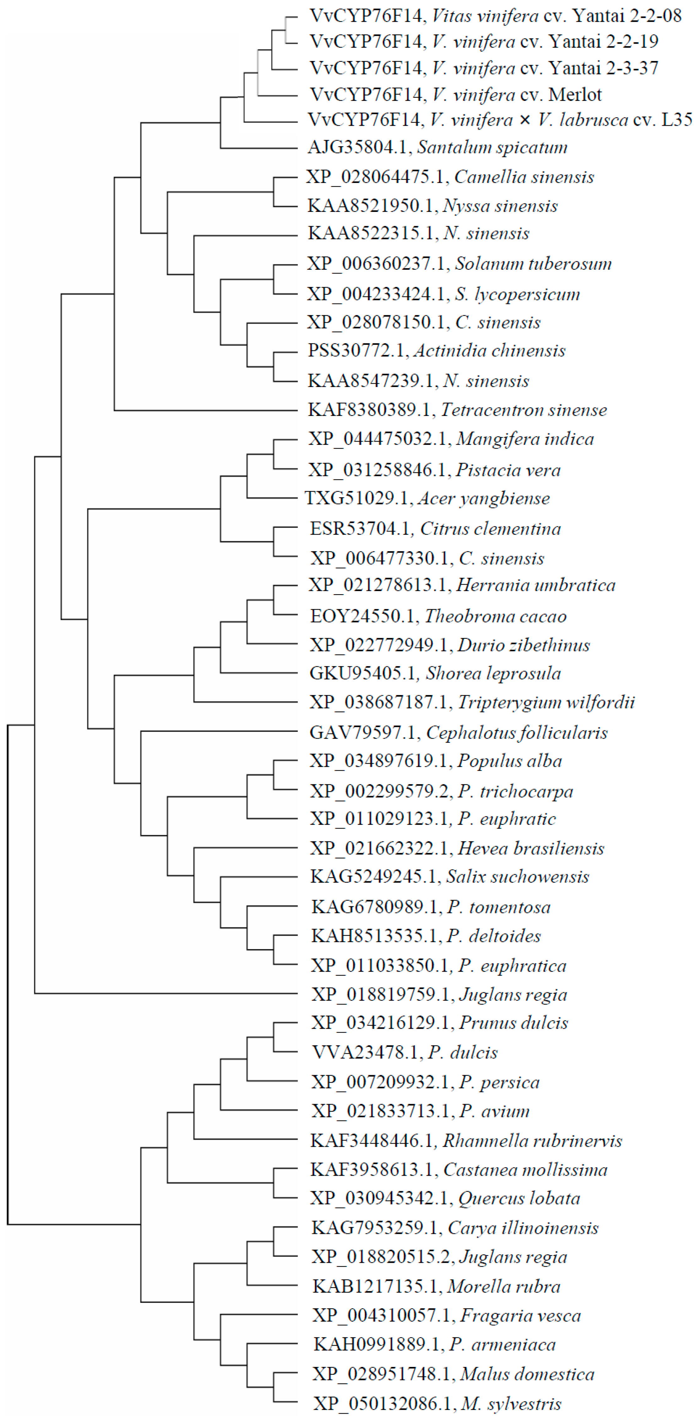 Genes 15 01478 g002