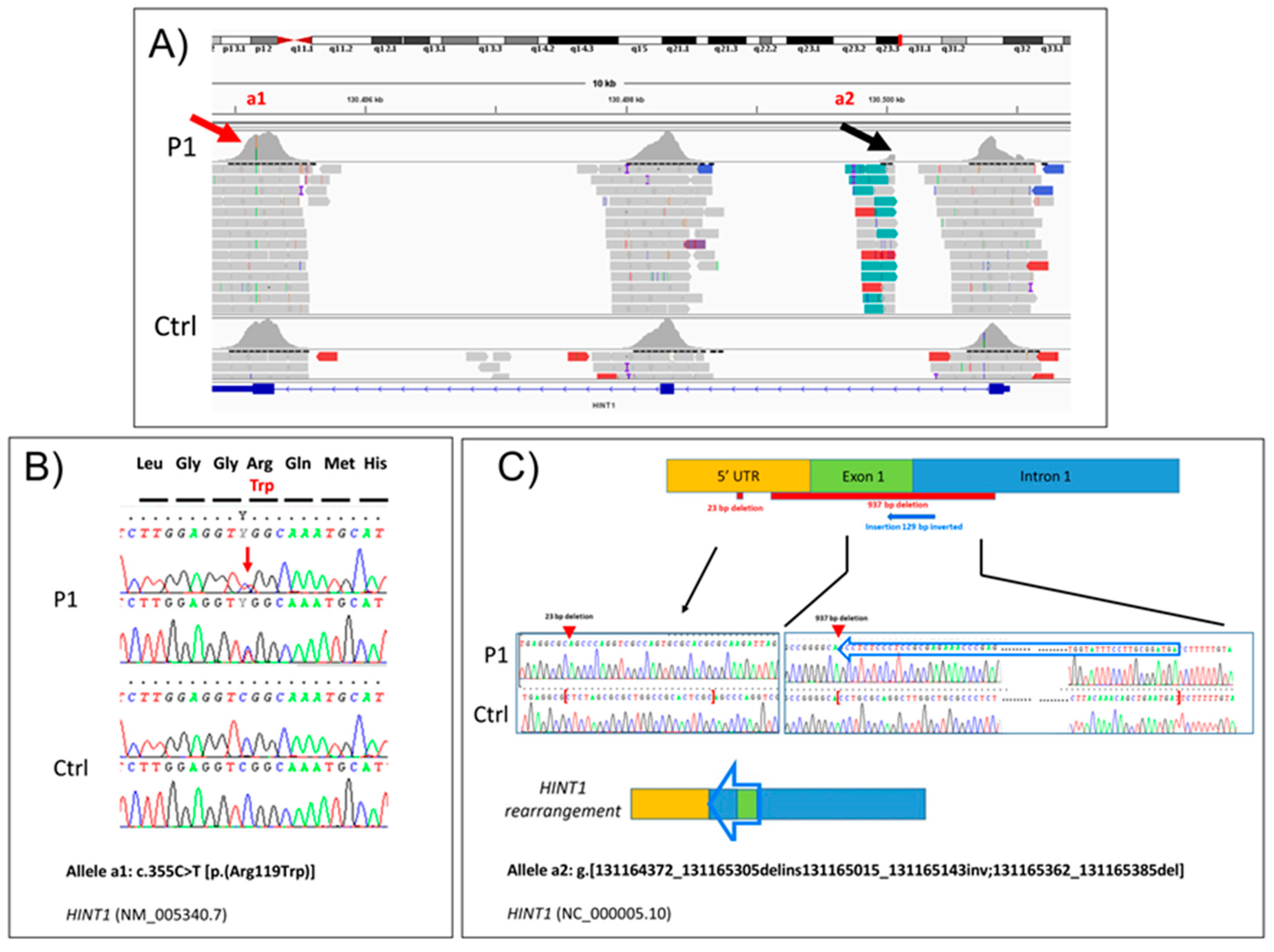 Genes 15 01483 g003