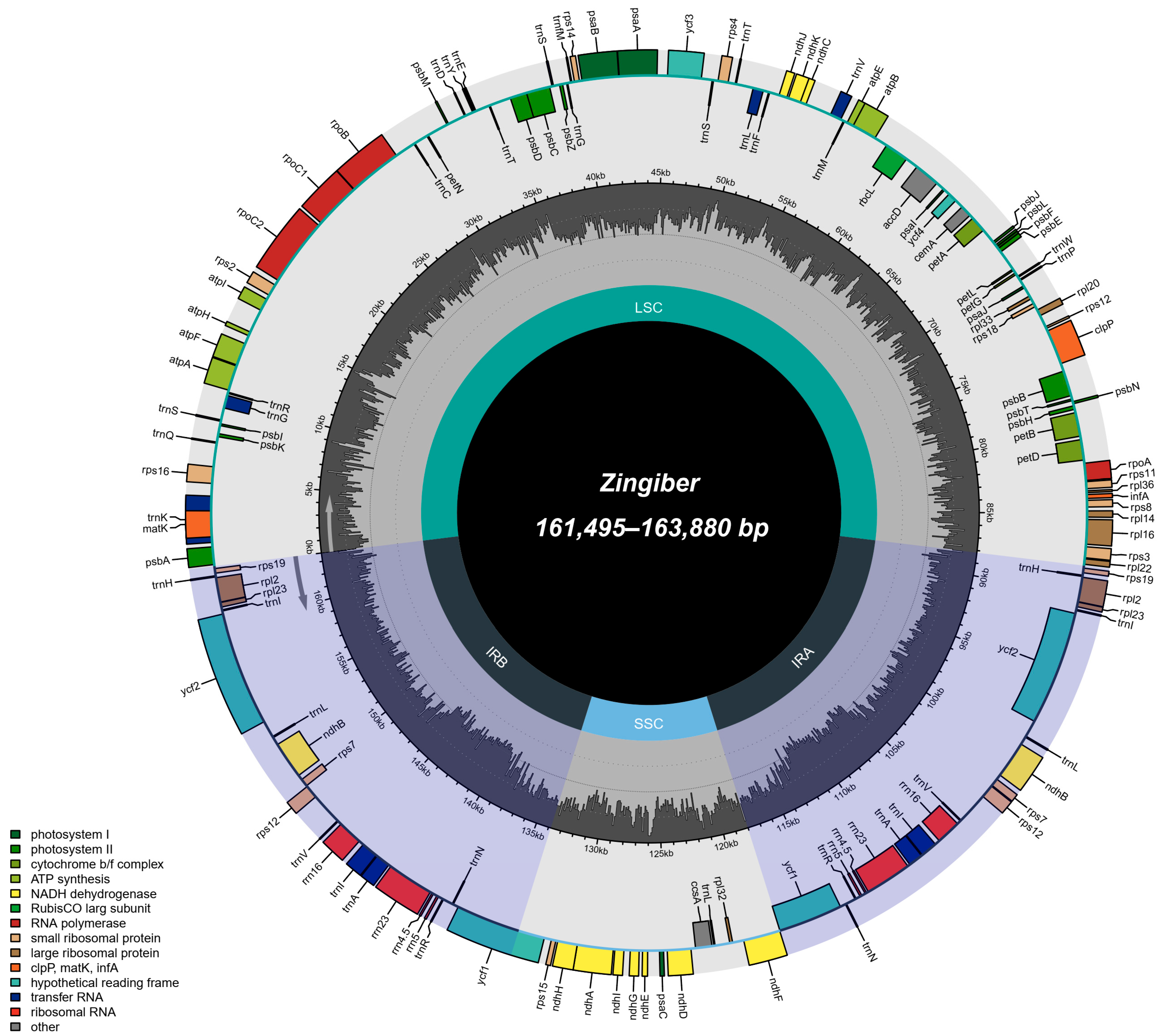 Genes 15 01484 g002