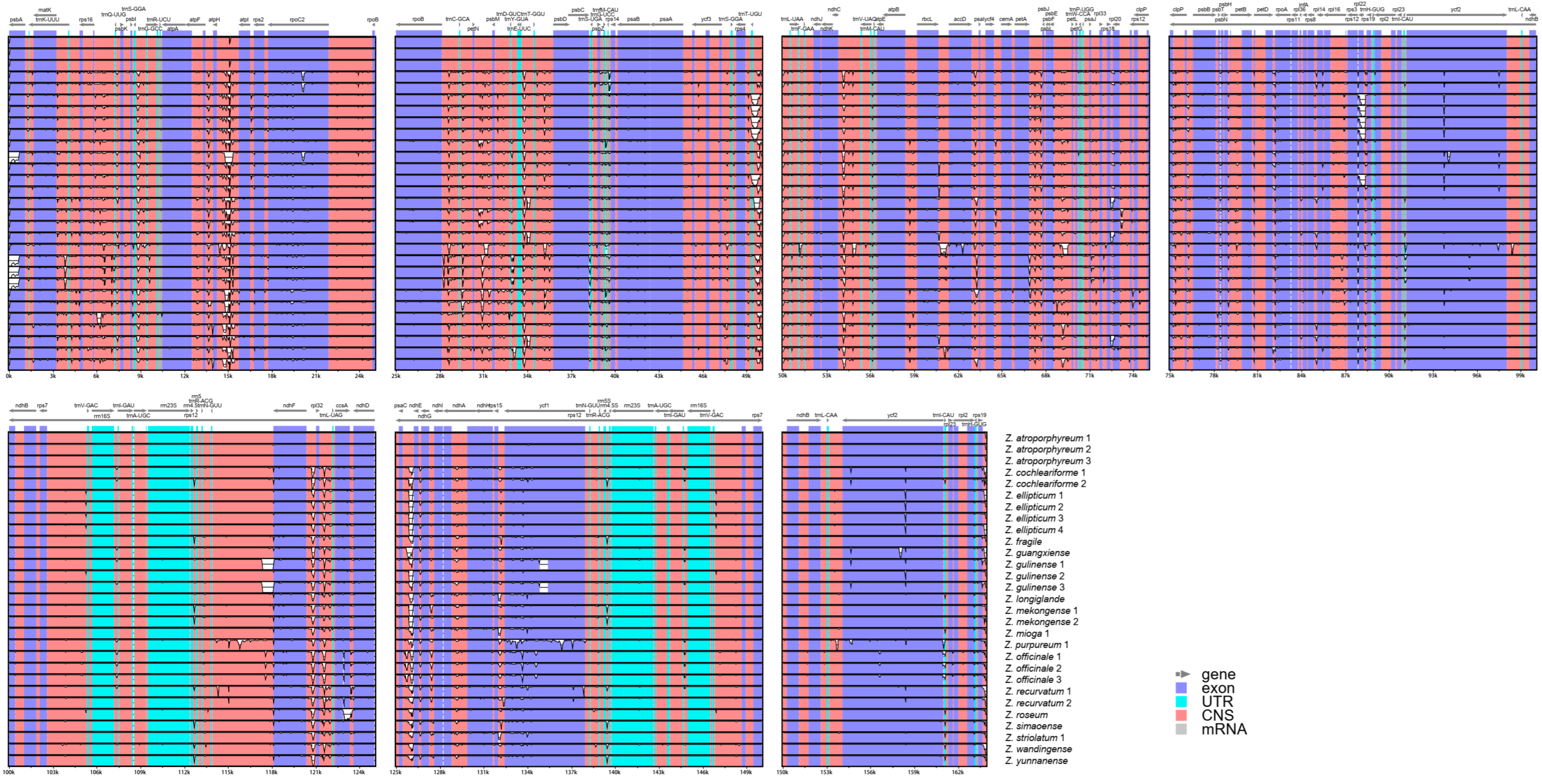 Genes 15 01484 g004