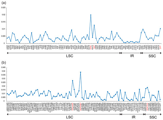 Comparative Chloroplast Genome Study of Zingiber in China